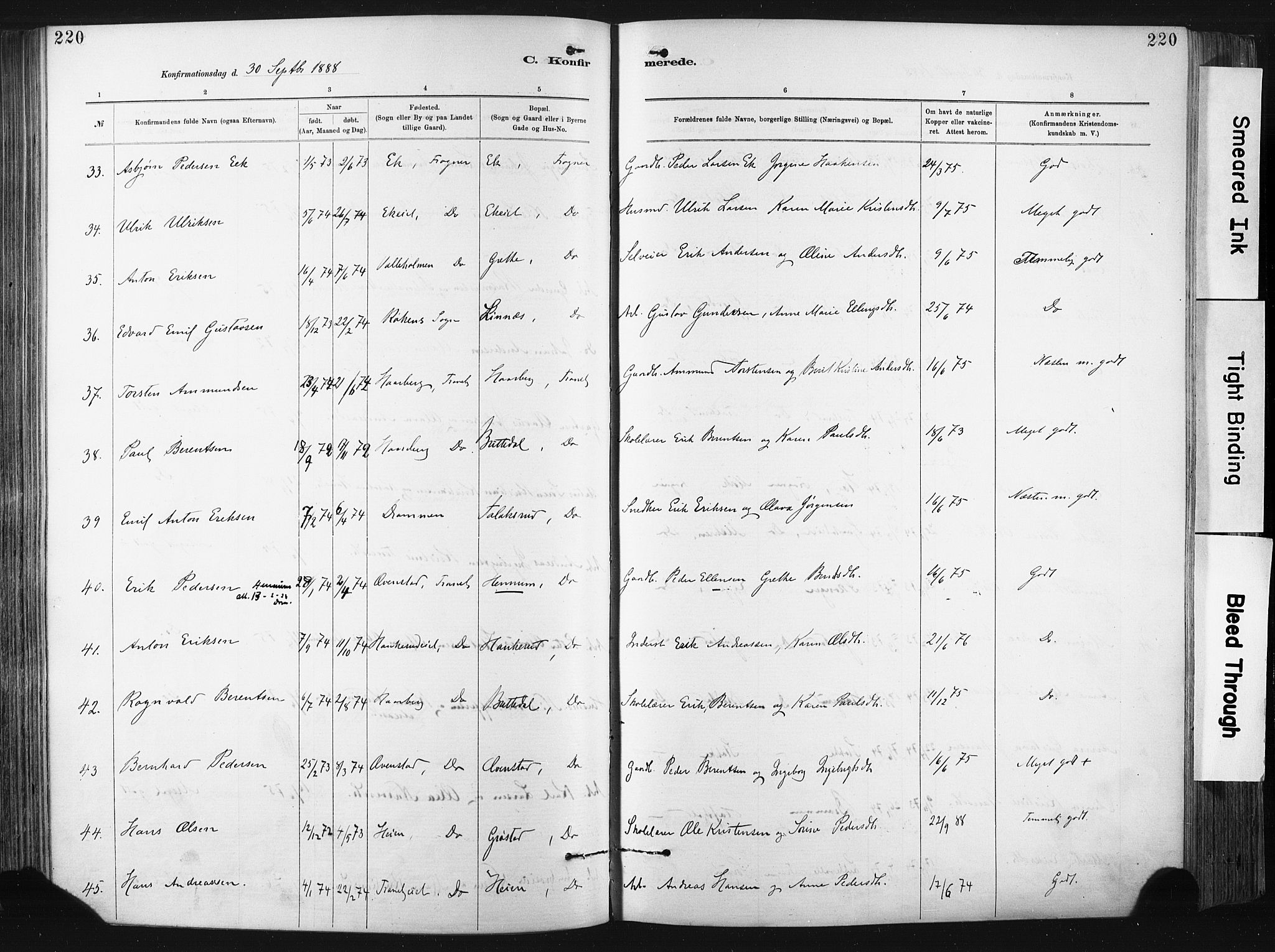 Lier kirkebøker, AV/SAKO-A-230/F/Fa/L0015: Parish register (official) no. I 15, 1883-1894, p. 220