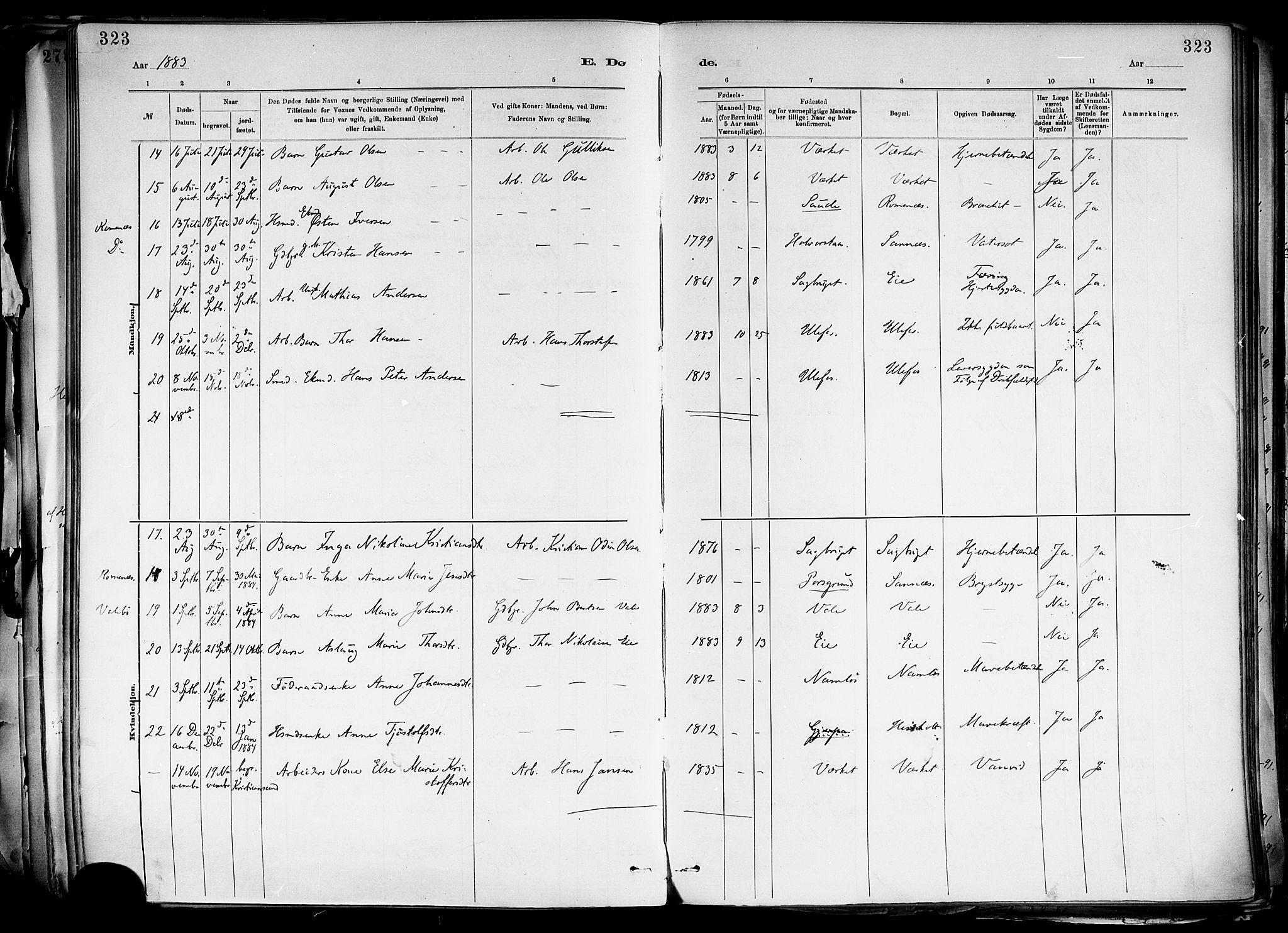 Holla kirkebøker, SAKO/A-272/F/Fa/L0008: Parish register (official) no. 8, 1882-1897, p. 323