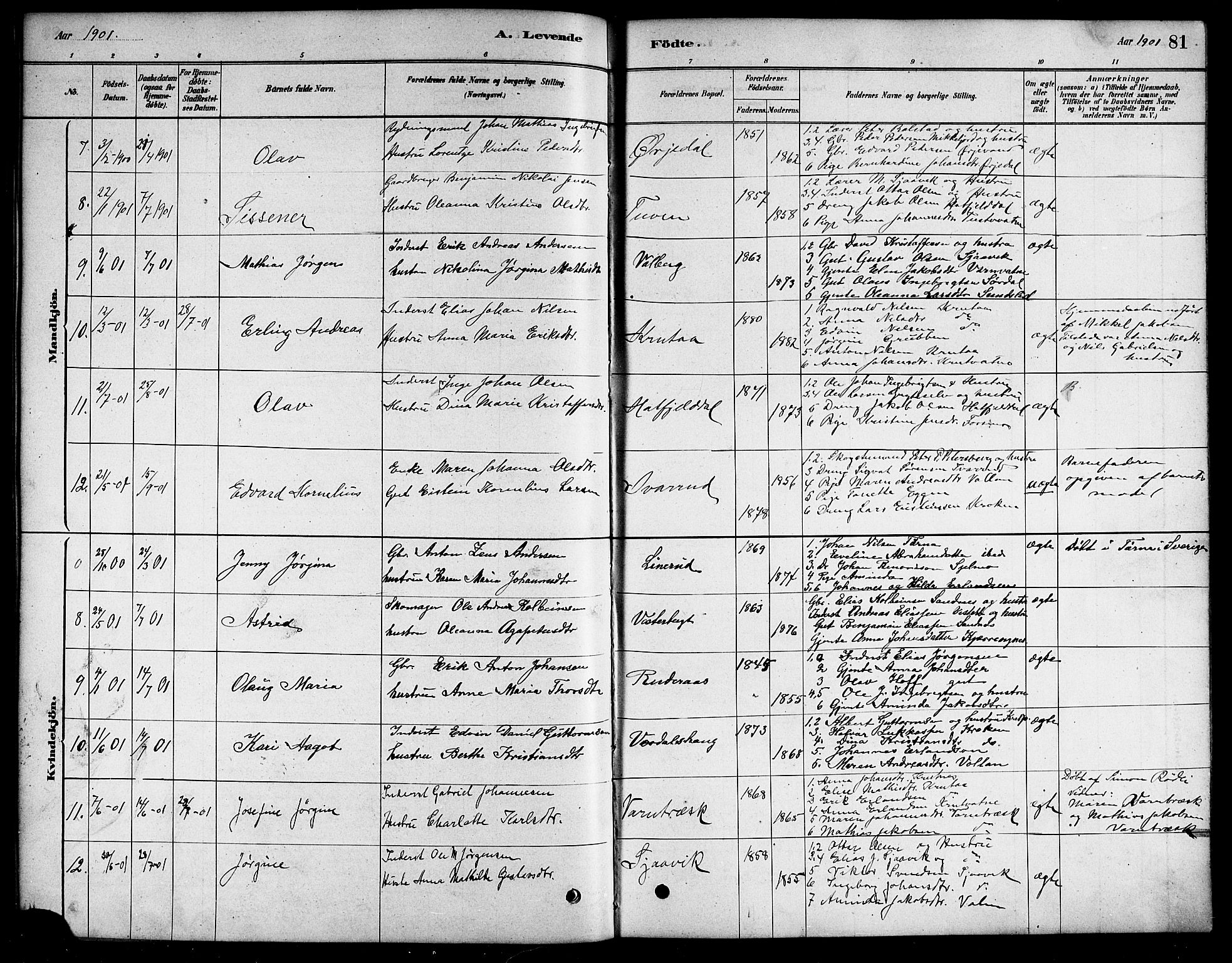 Ministerialprotokoller, klokkerbøker og fødselsregistre - Nordland, SAT/A-1459/823/L0330: Parish register (copy) no. 823C02, 1879-1916, p. 81
