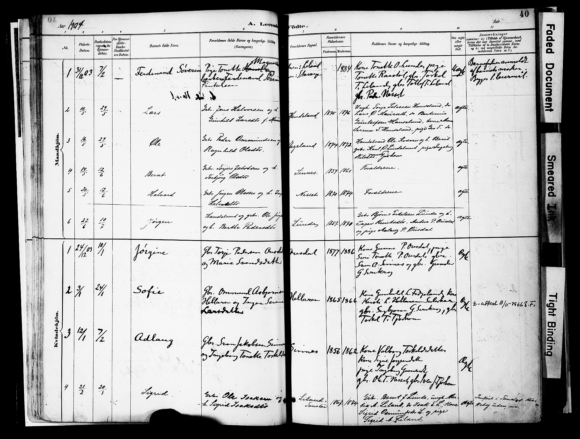 Sirdal sokneprestkontor, SAK/1111-0036/F/Fa/Faa/L0001: Parish register (official) no. A 1, 1887-1910, p. 40