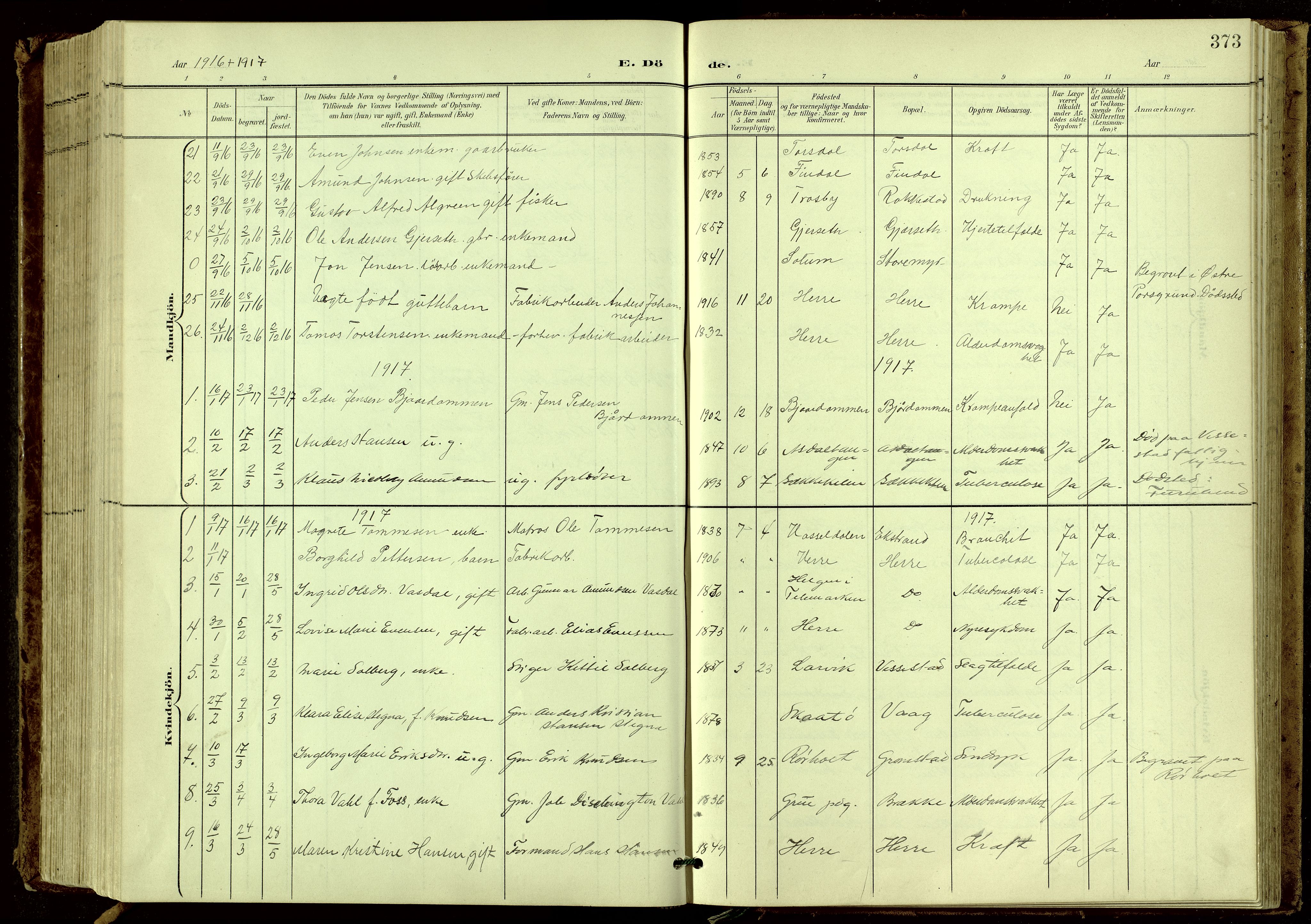 Bamble kirkebøker, SAKO/A-253/G/Ga/L0010: Parish register (copy) no. I 10, 1901-1919, p. 373
