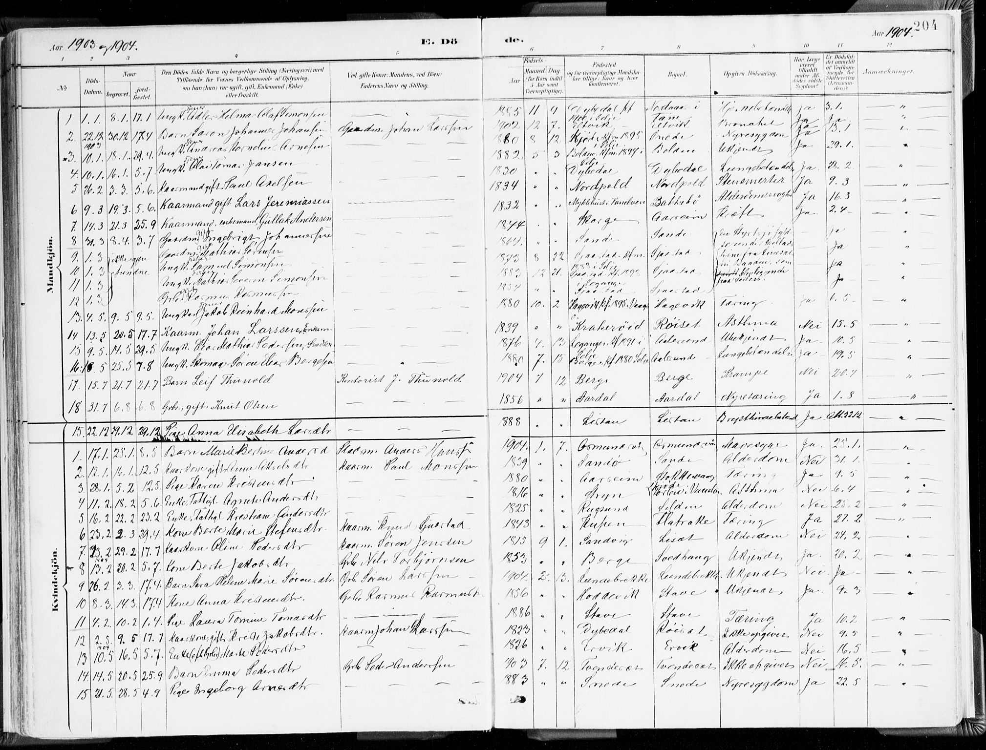 Selje sokneprestembete, SAB/A-99938/H/Ha/Haa/Haab: Parish register (official) no. B 2, 1891-1907, p. 204