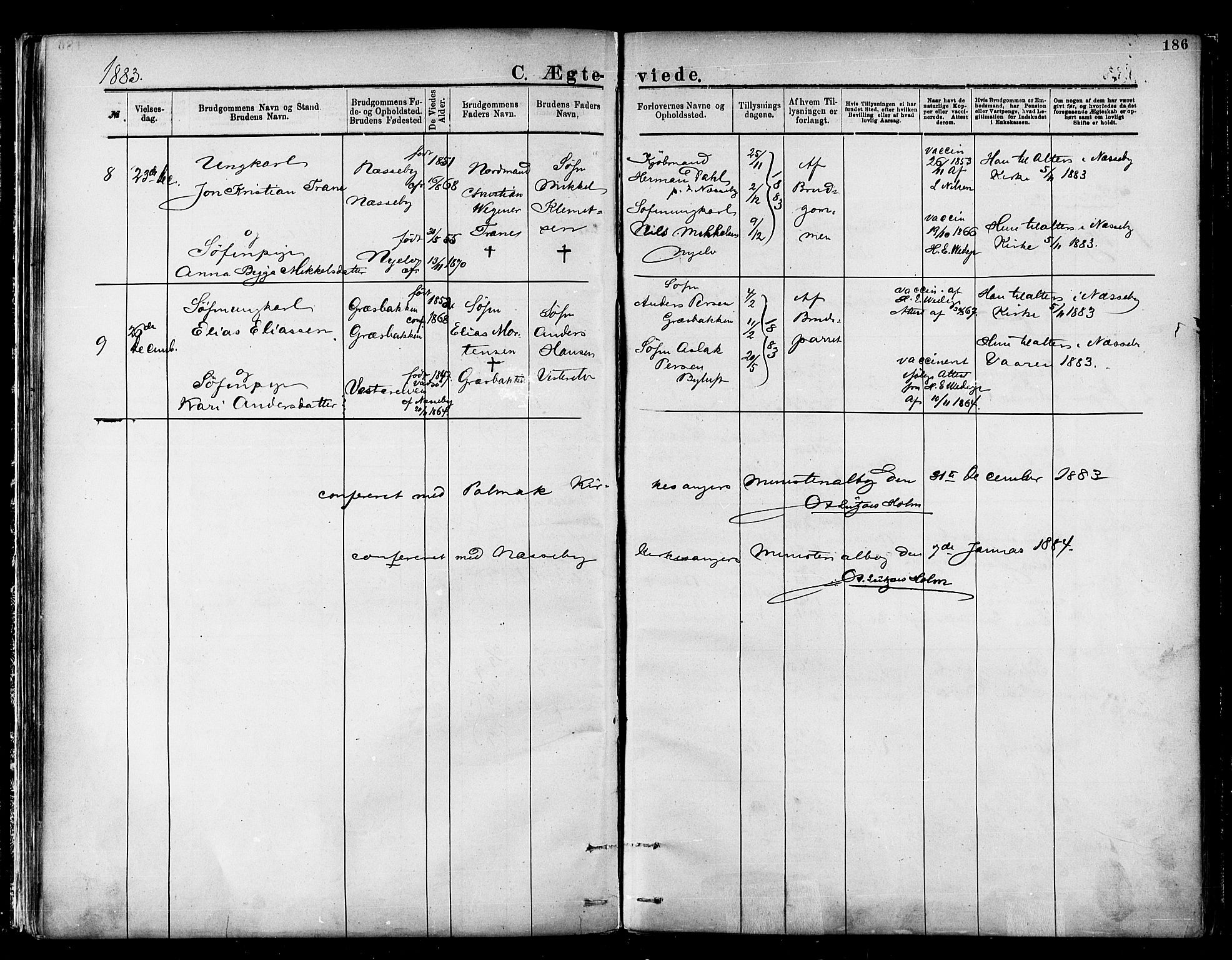 Nesseby sokneprestkontor, AV/SATØ-S-1330/H/Ha/L0004kirke: Parish register (official) no. 4, 1877-1884, p. 186