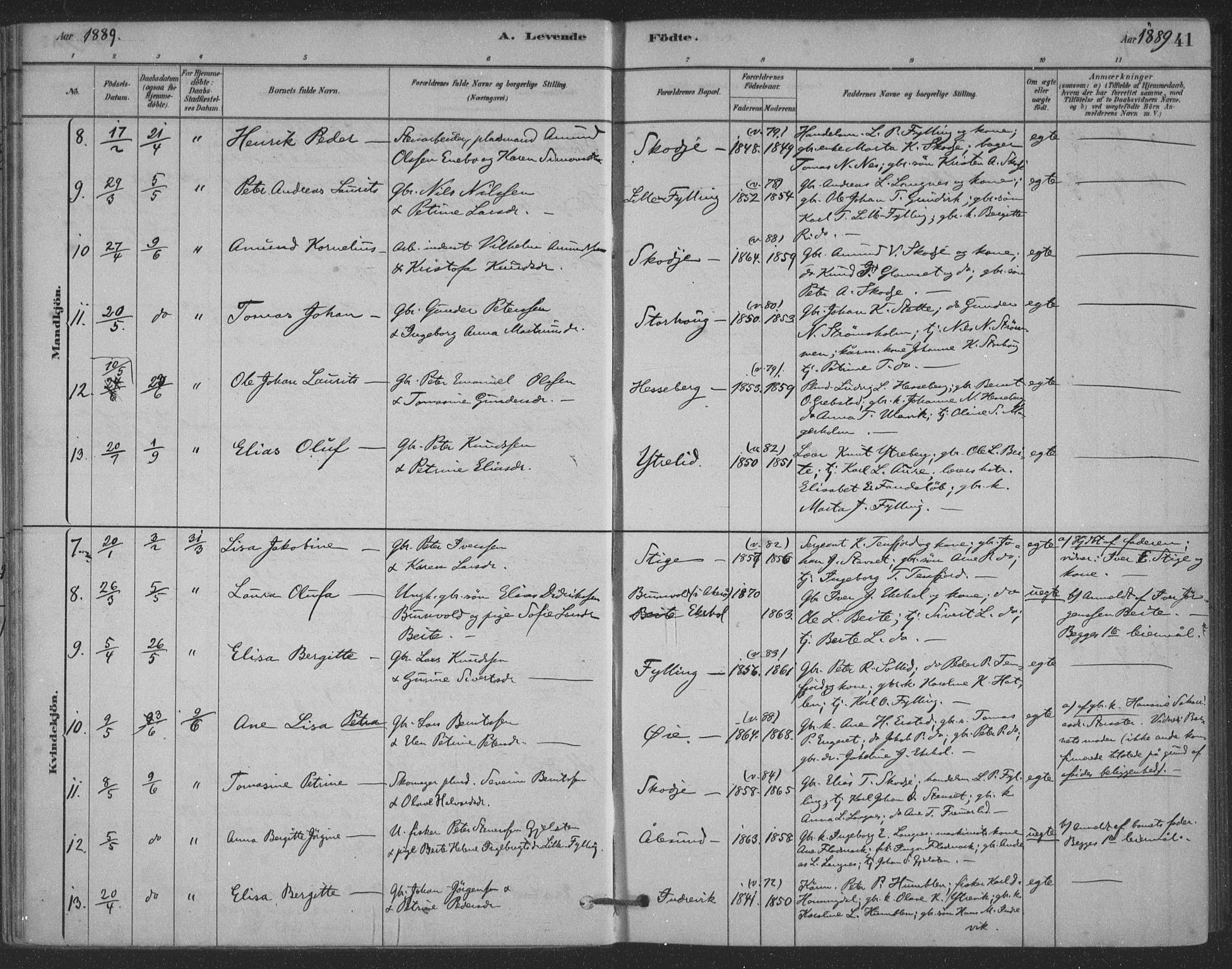 Ministerialprotokoller, klokkerbøker og fødselsregistre - Møre og Romsdal, AV/SAT-A-1454/524/L0356: Parish register (official) no. 524A08, 1880-1899, p. 41