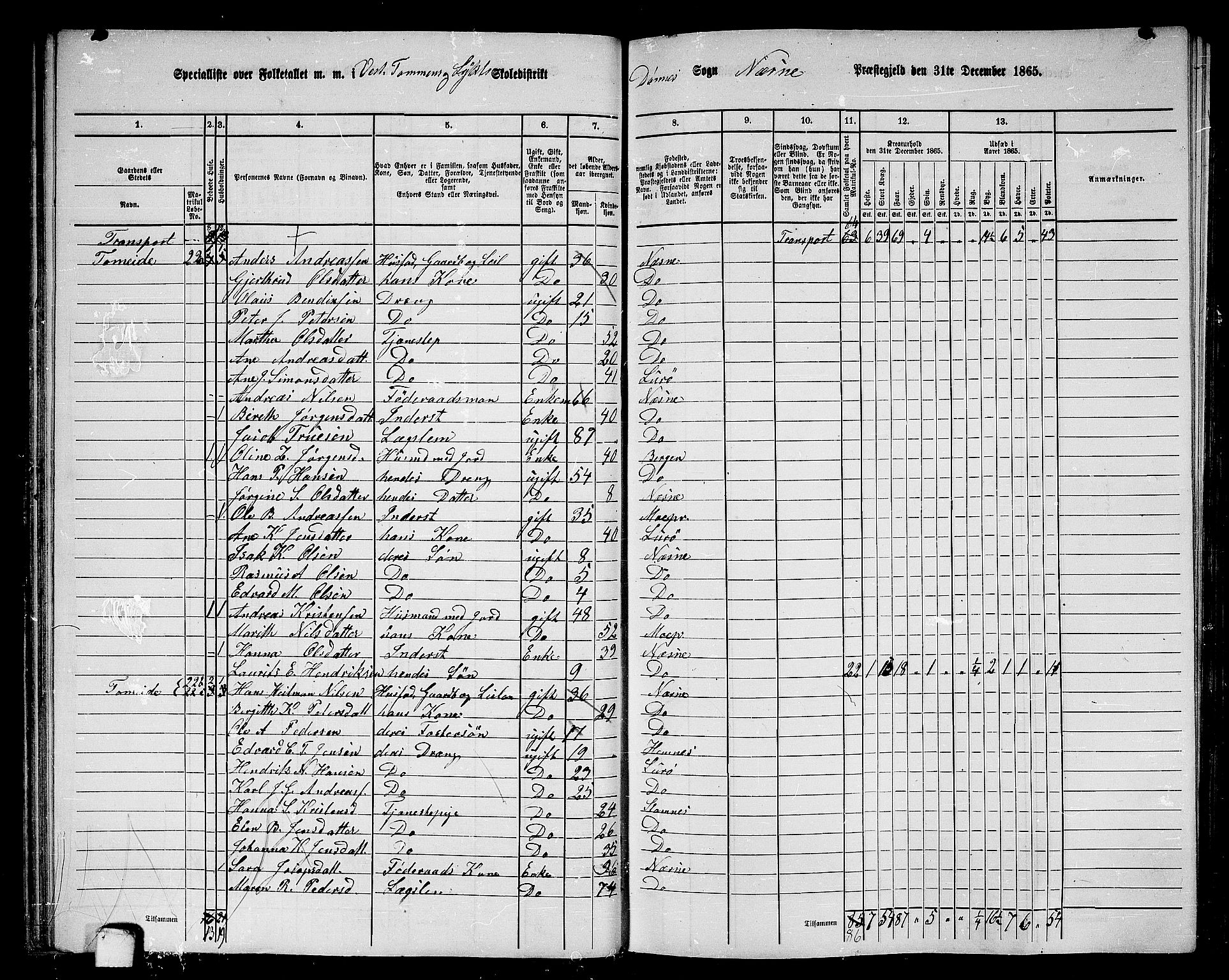 RA, 1865 census for Nesna, 1865, p. 55