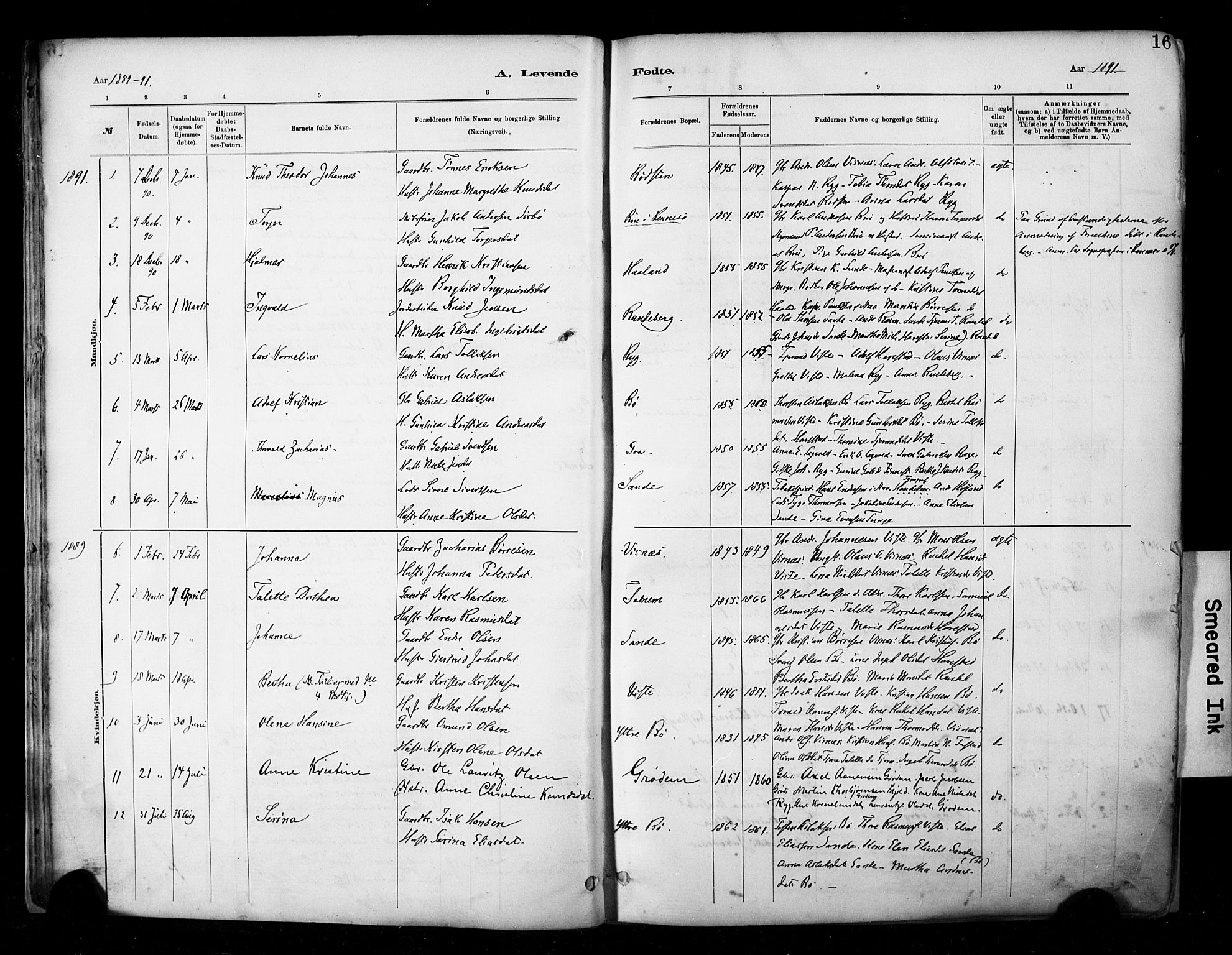 Hetland sokneprestkontor, AV/SAST-A-101826/30/30BA/L0009: Parish register (official) no. A 9, 1882-1918, p. 16