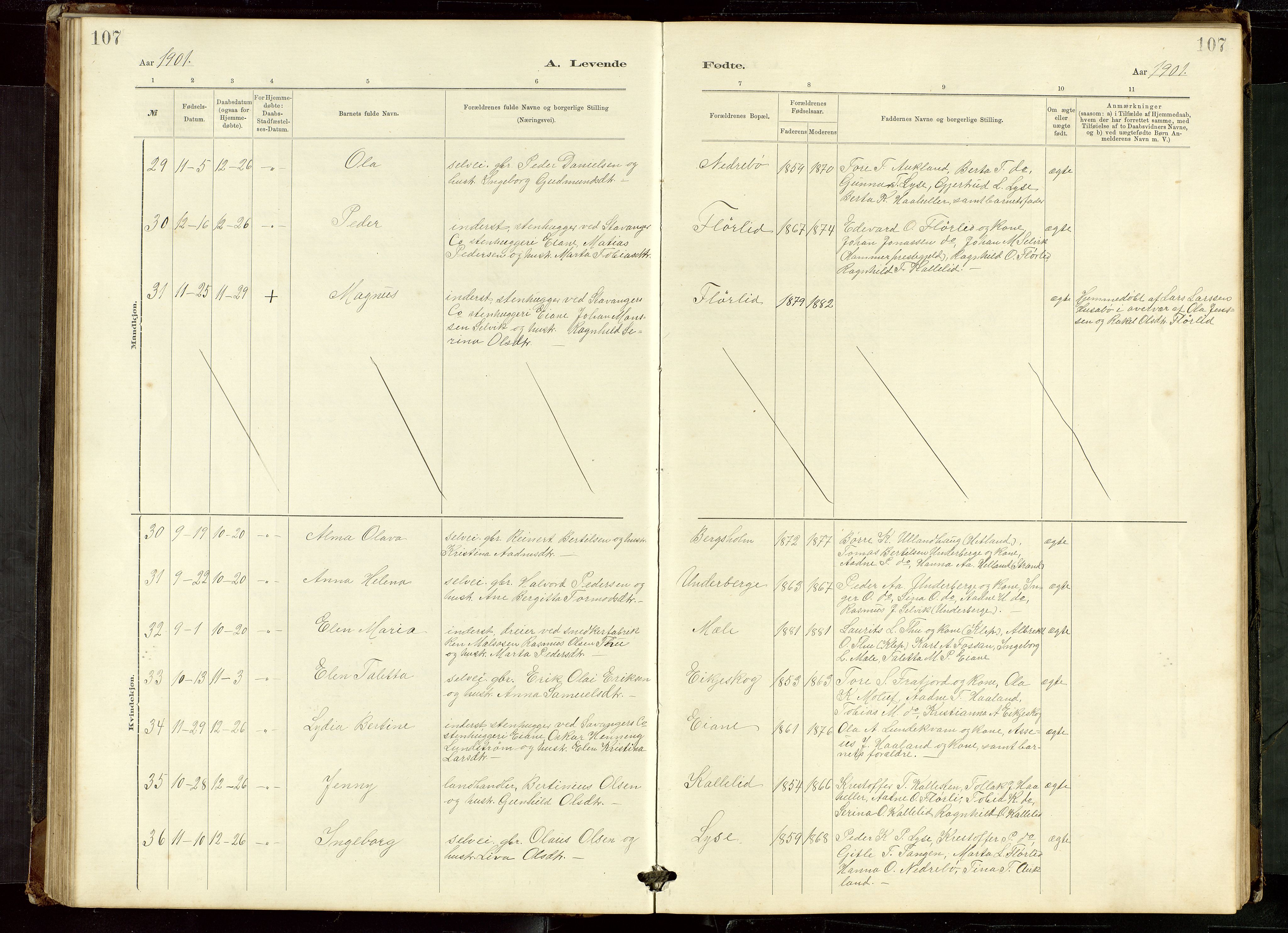 Høgsfjord sokneprestkontor, AV/SAST-A-101624/H/Ha/Hab/L0009: Parish register (copy) no. B 9, 1883-1920, p. 107