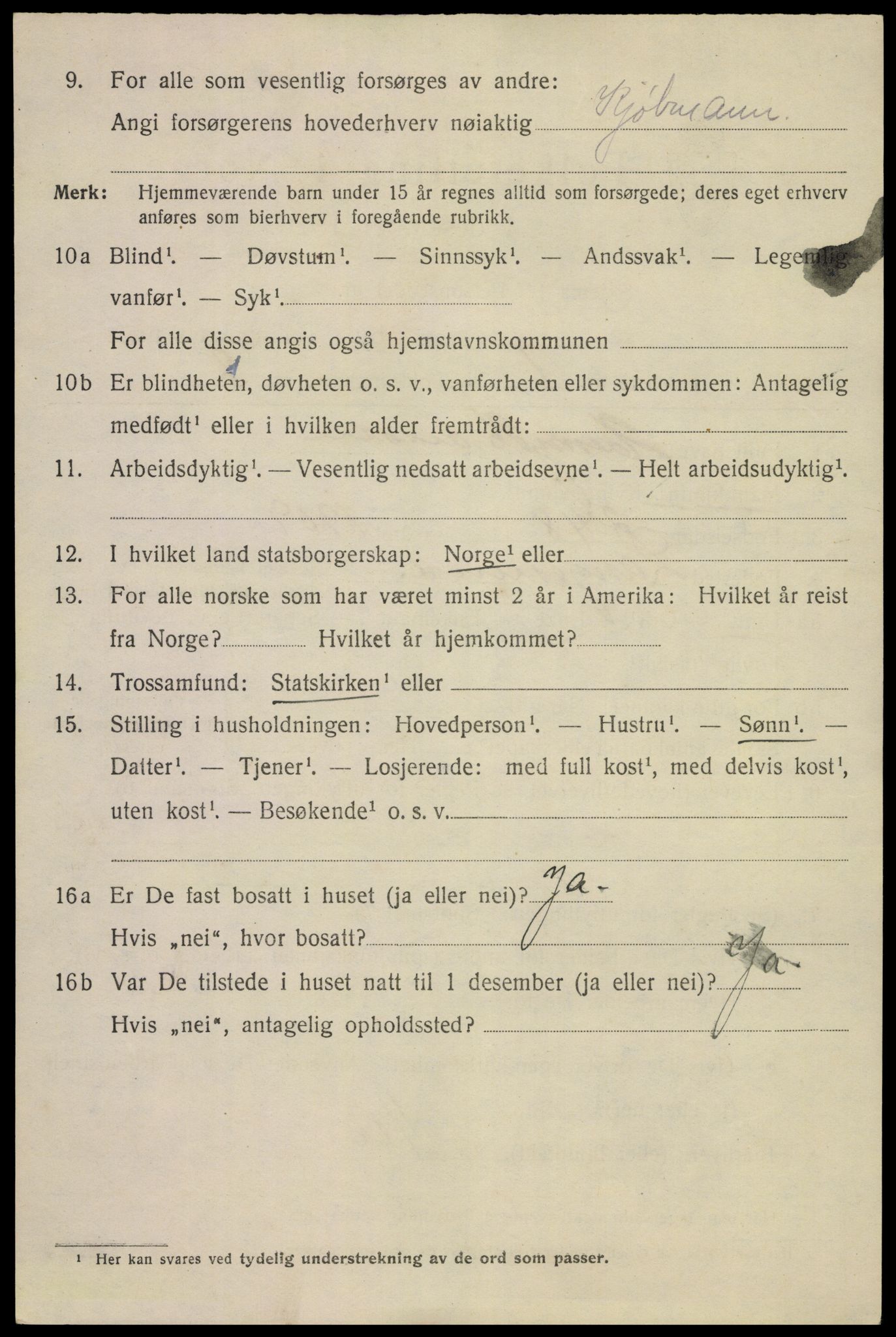 SAKO, 1920 census for Langesund, 1920, p. 1674