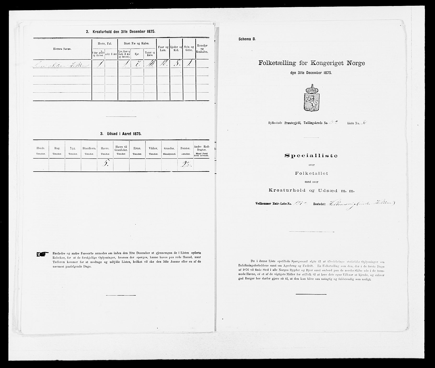 SAB, 1875 census for 1413P Hyllestad, 1875, p. 564