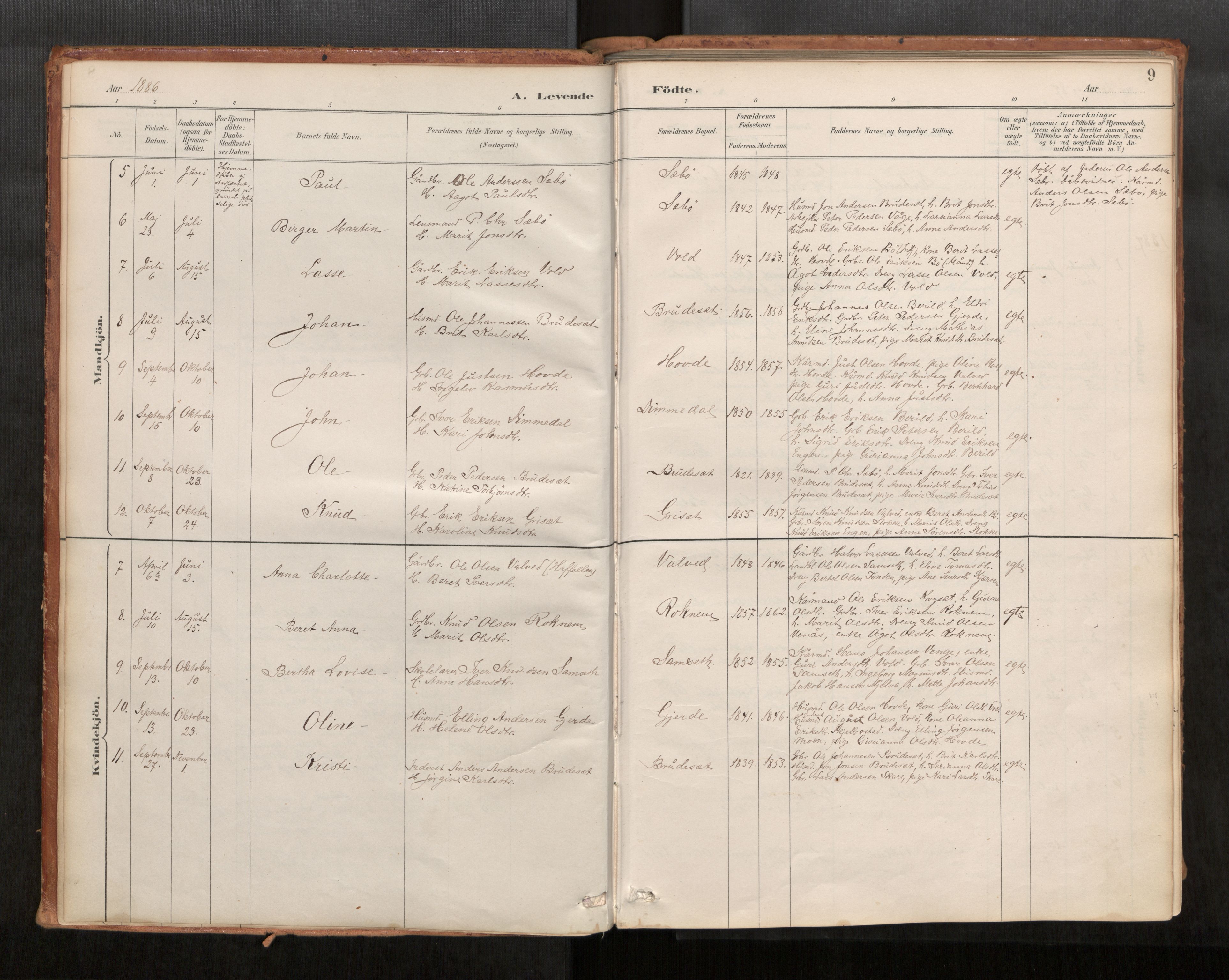 Ministerialprotokoller, klokkerbøker og fødselsregistre - Møre og Romsdal, SAT/A-1454/543/L0568: Parish register (official) no. 543A03, 1885-1915, p. 9