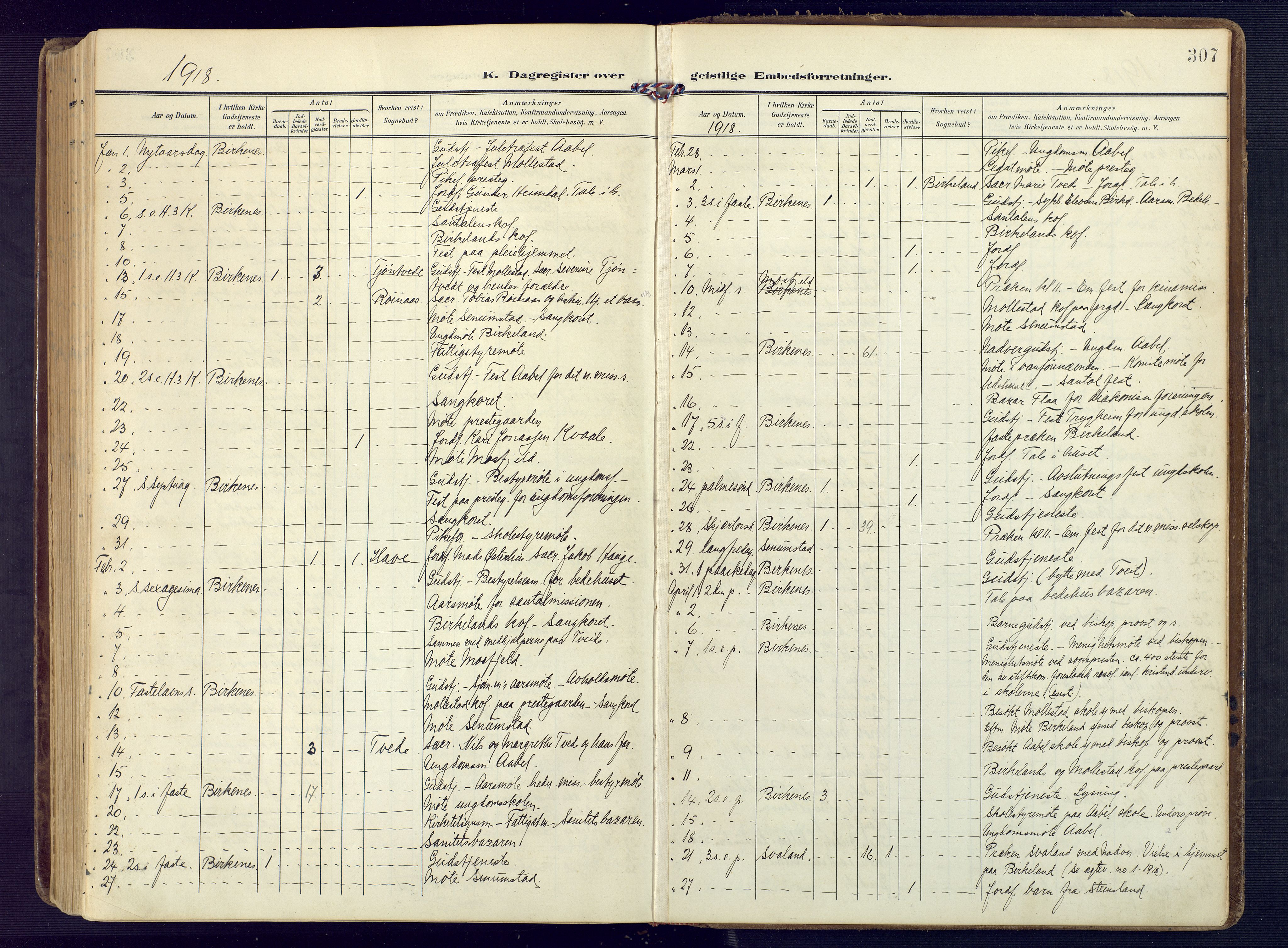 Birkenes sokneprestkontor, AV/SAK-1111-0004/F/Fa/L0006: Parish register (official) no. A 6, 1908-1932, p. 307