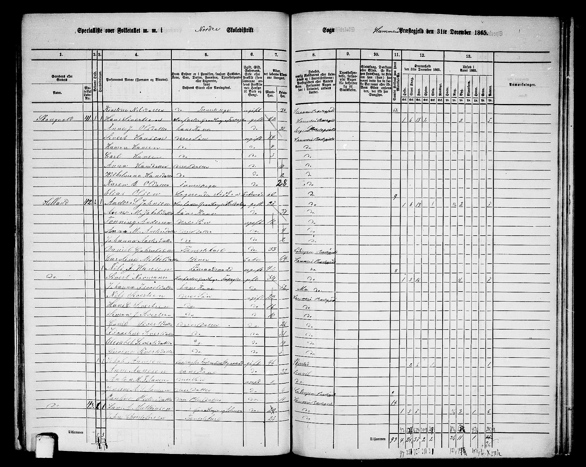 RA, 1865 census for Hamarøy, 1865, p. 22