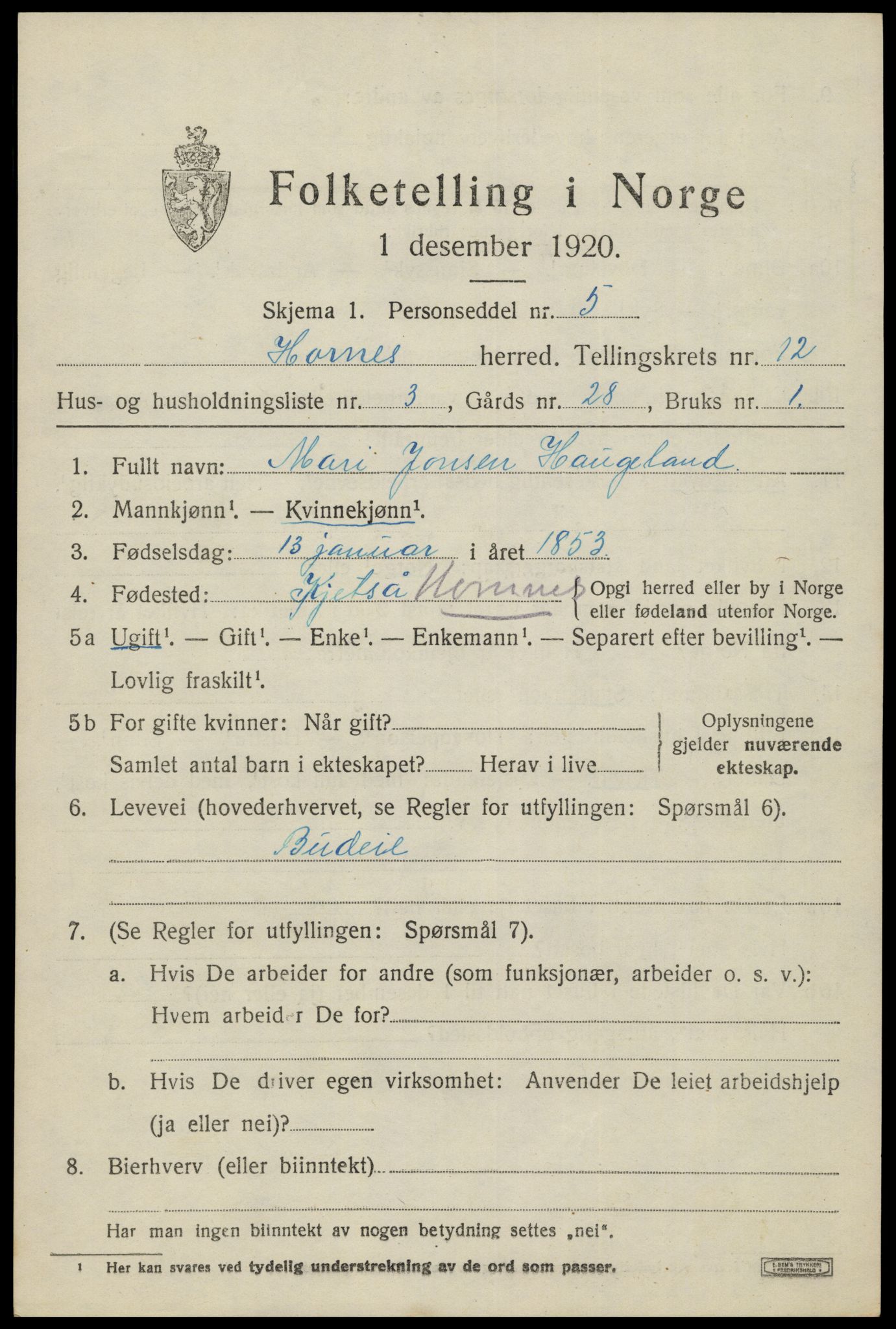 SAK, 1920 census for Hornnes, 1920, p. 2905