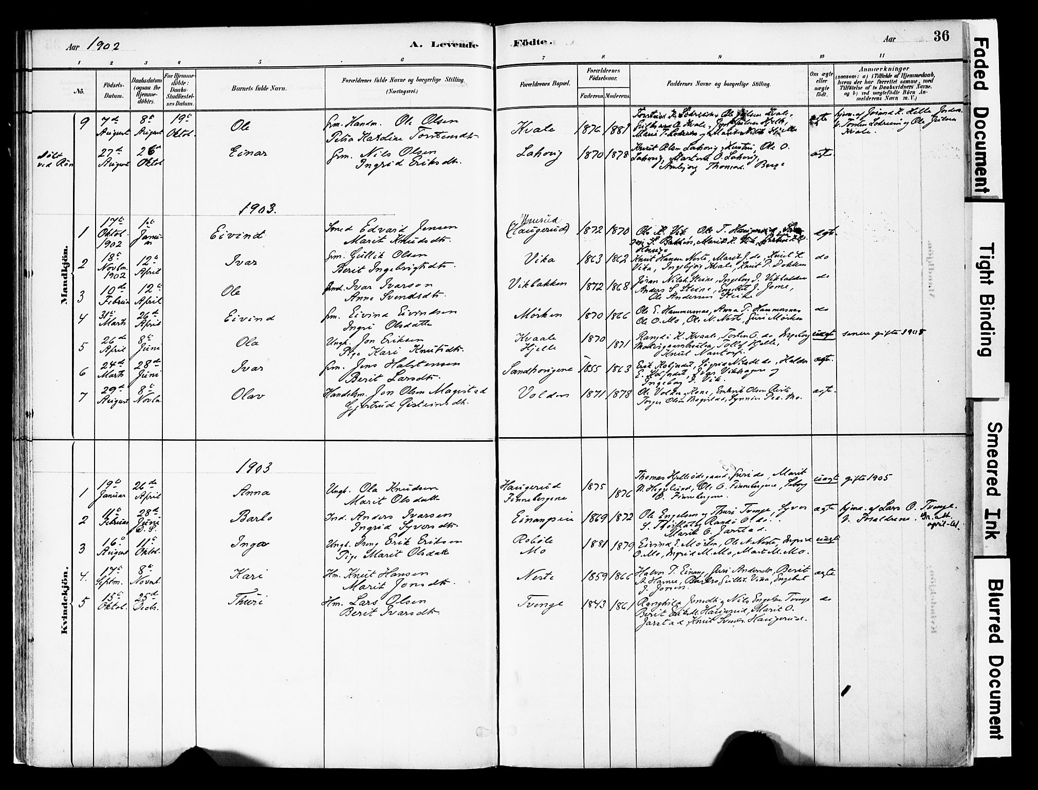 Vestre Slidre prestekontor, SAH/PREST-136/H/Ha/Haa/L0004: Parish register (official) no. 4, 1881-1911, p. 36