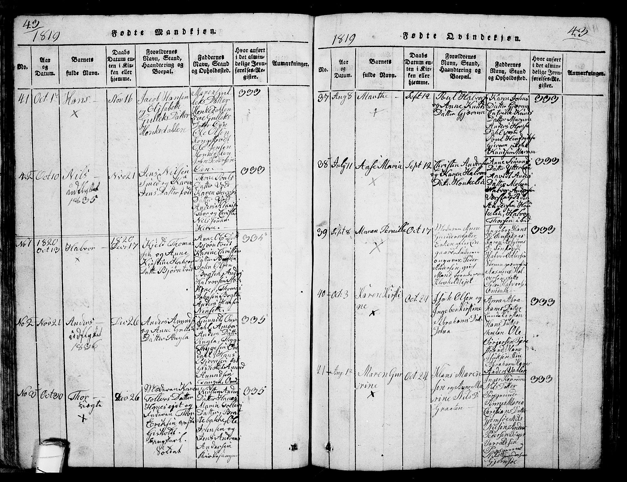 Solum kirkebøker, SAKO/A-306/G/Ga/L0001: Parish register (copy) no. I 1, 1814-1833, p. 43