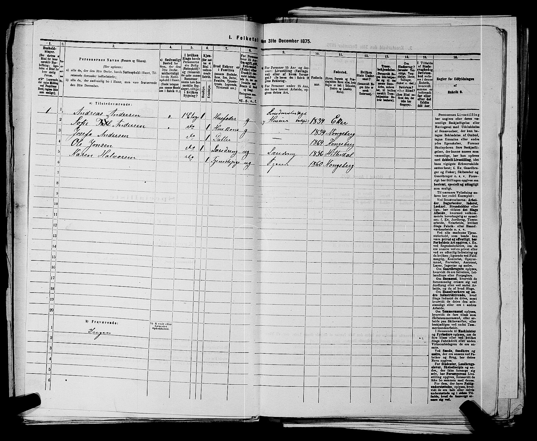 SAKO, 1875 census for 0604B Kongsberg/Kongsberg, 1875, p. 205