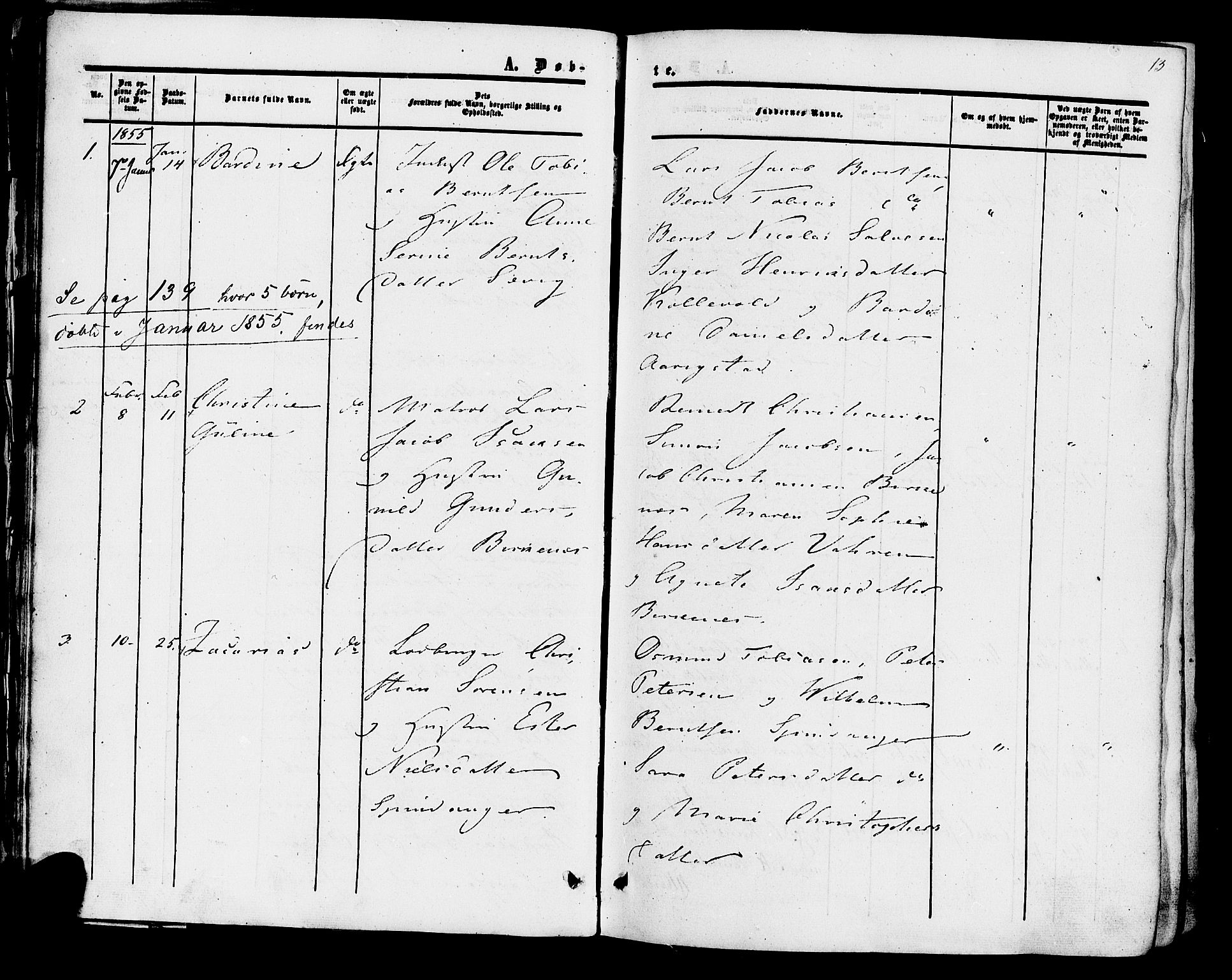 Herad sokneprestkontor, SAK/1111-0018/F/Fa/Fab/L0004: Parish register (official) no. A 4, 1853-1885, p. 13