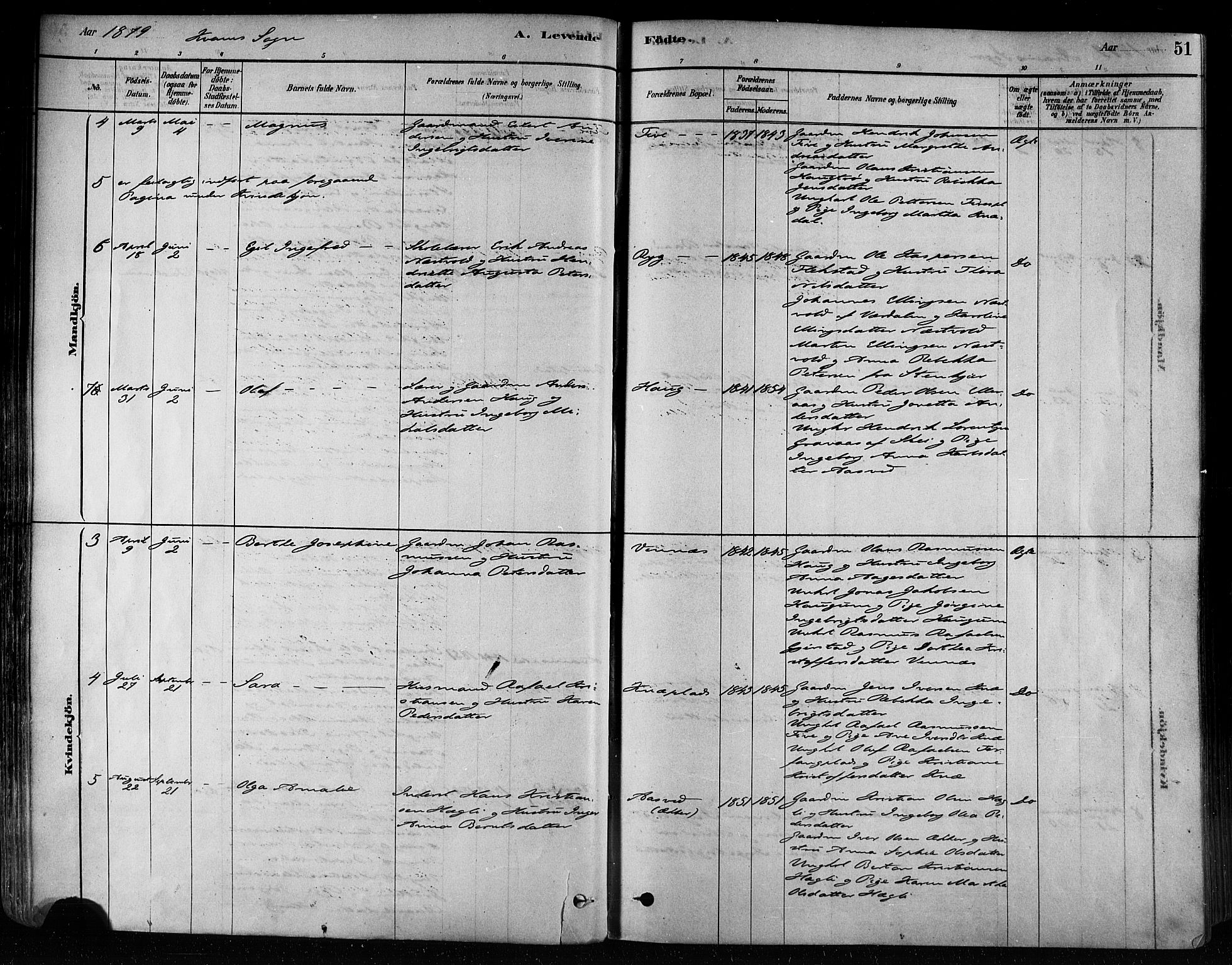 Ministerialprotokoller, klokkerbøker og fødselsregistre - Nord-Trøndelag, AV/SAT-A-1458/746/L0449: Parish register (official) no. 746A07 /2, 1878-1899, p. 51