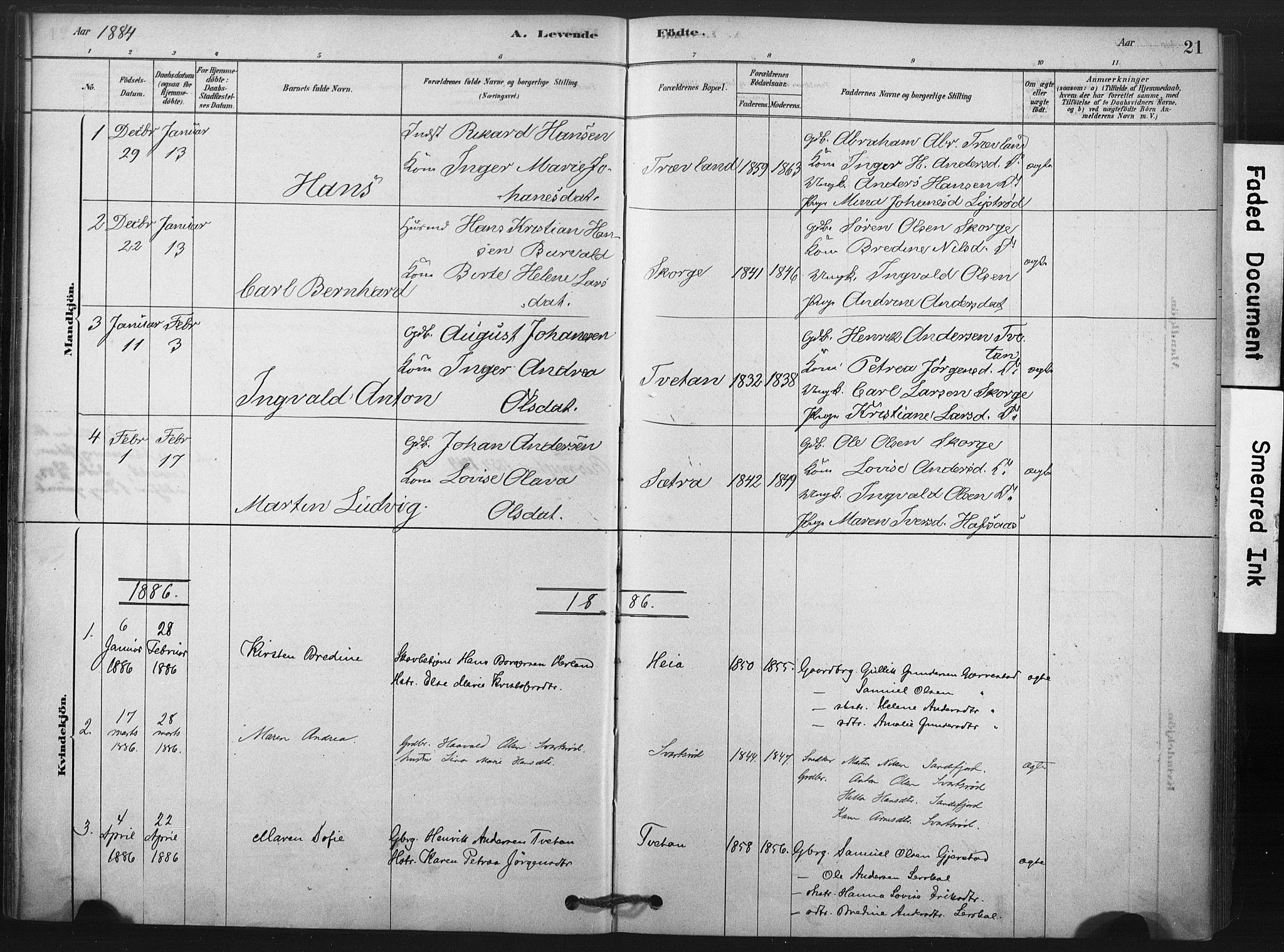 Andebu kirkebøker, AV/SAKO-A-336/F/Fa/L0008: Parish register (official) no. 8, 1878-1902, p. 21