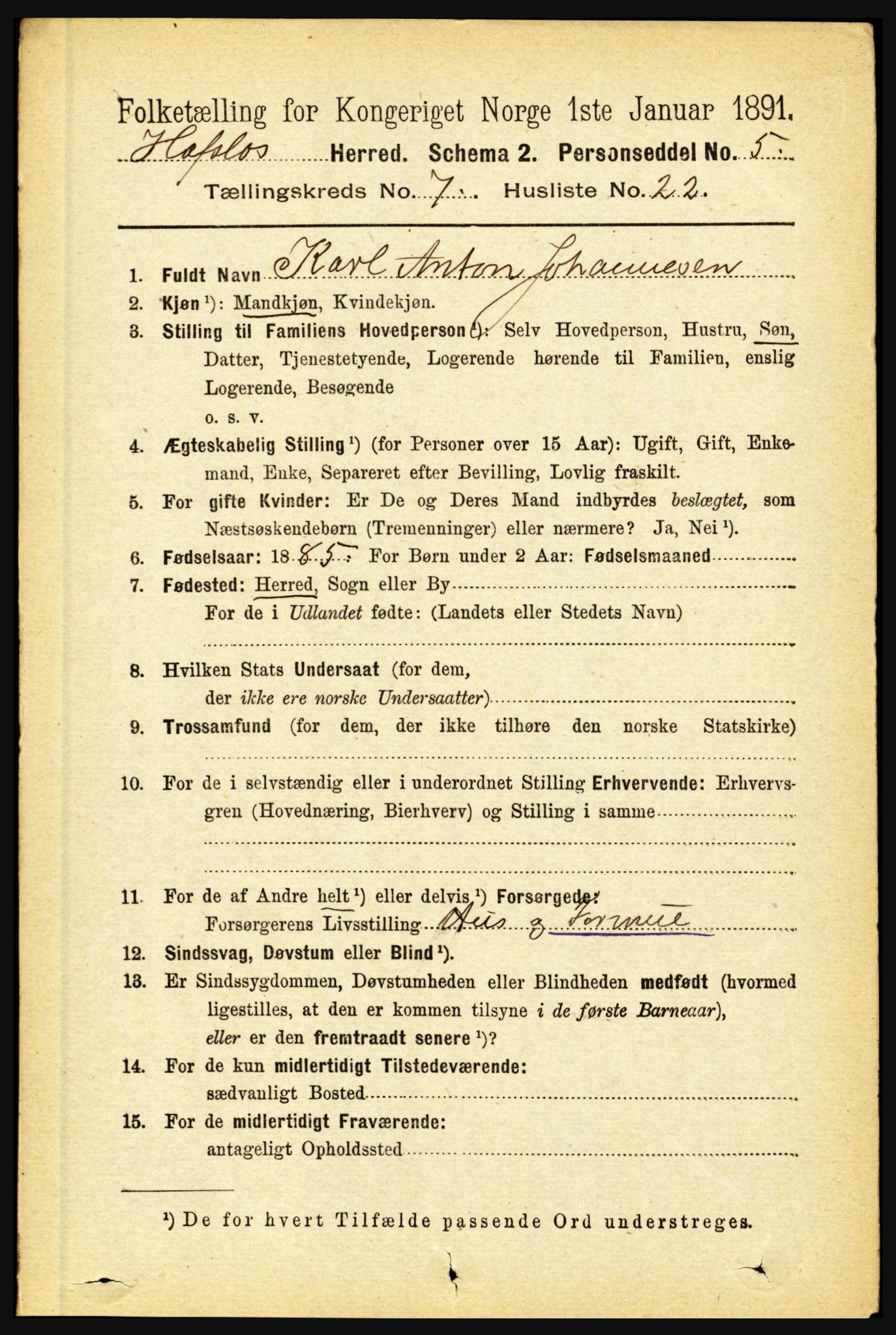 RA, 1891 census for 1425 Hafslo, 1891, p. 2862