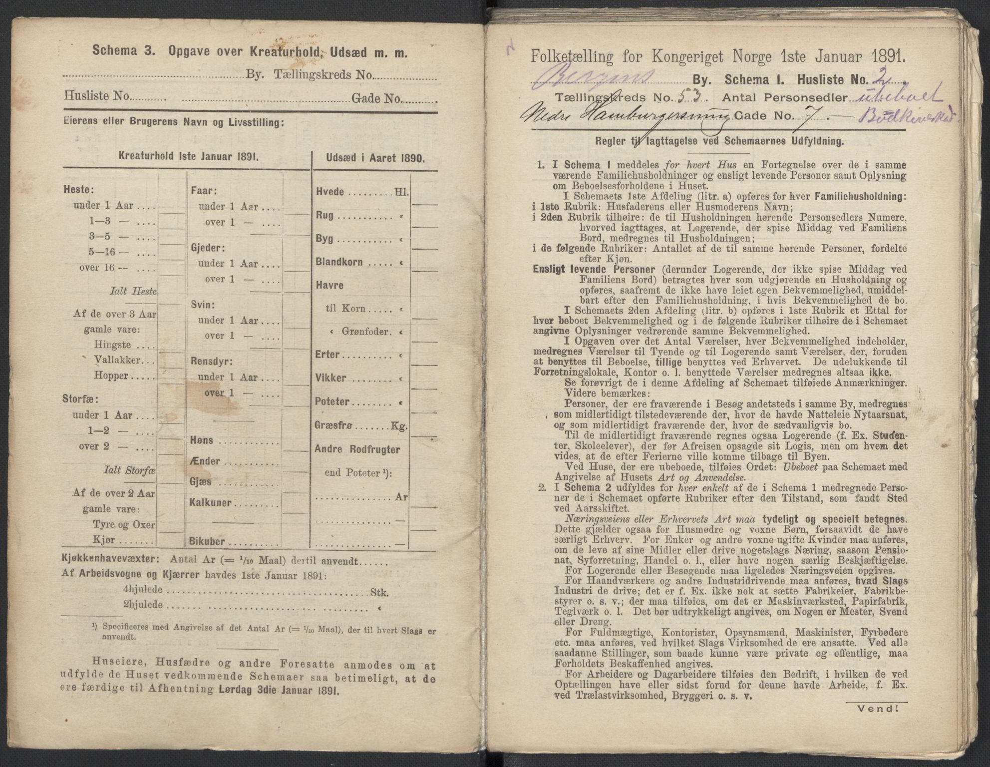 RA, 1891 Census for 1301 Bergen, 1891, p. 8571