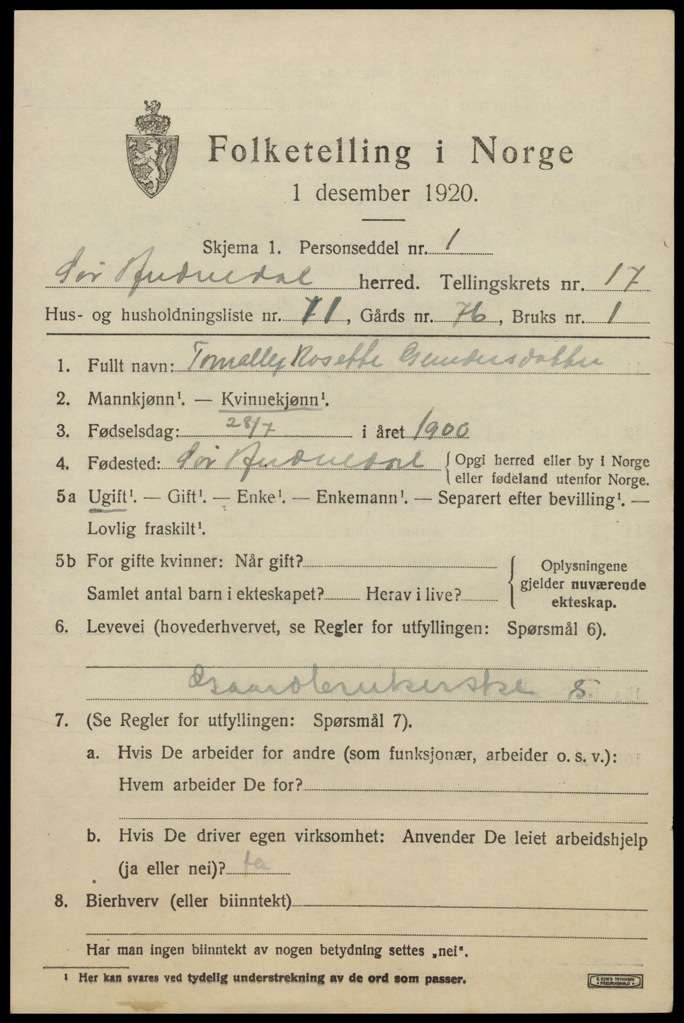 SAK, 1920 census for Sør-Audnedal, 1920, p. 6391