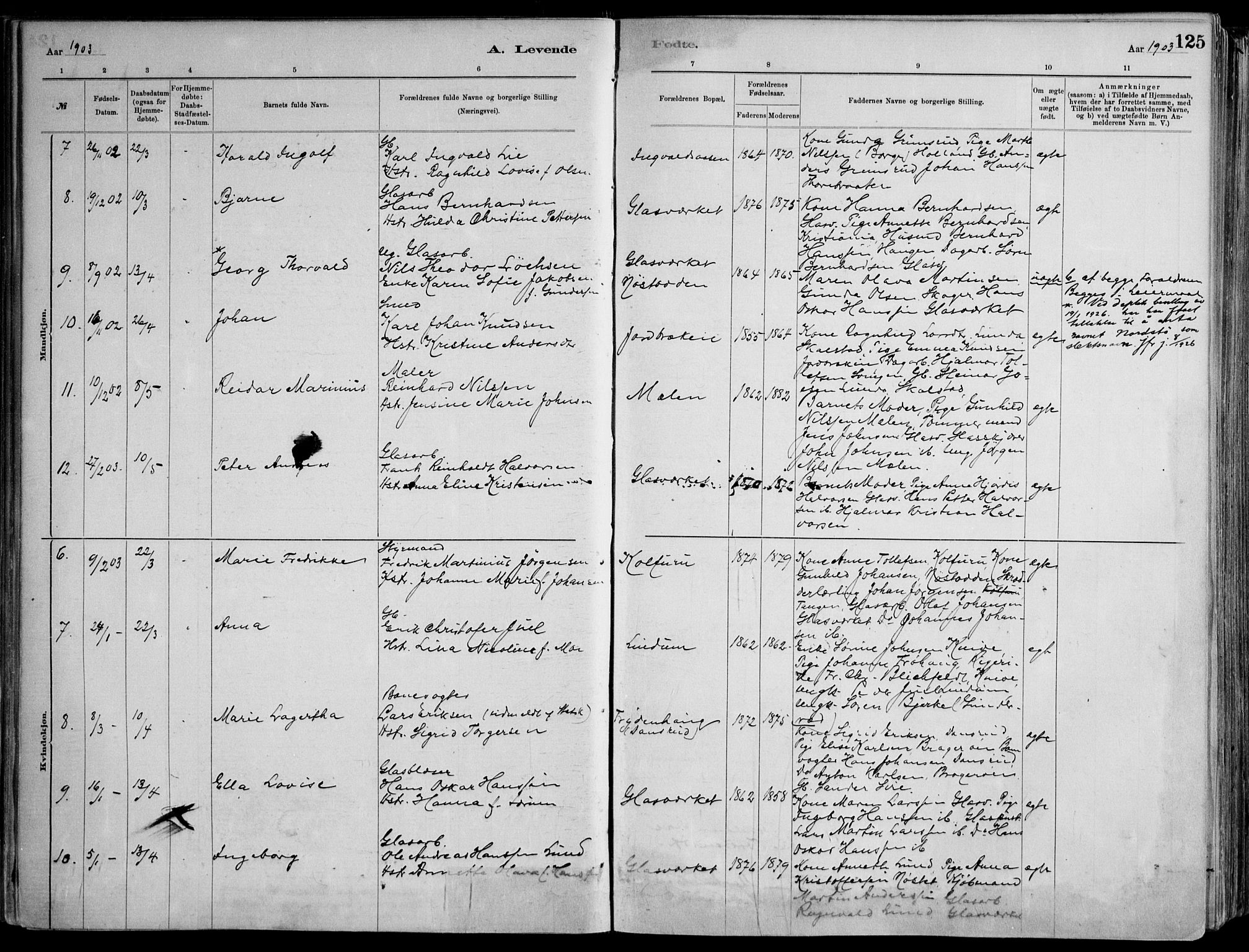 Skoger kirkebøker, AV/SAKO-A-59/F/Fa/L0006: Parish register (official) no. I 6, 1885-1910, p. 125