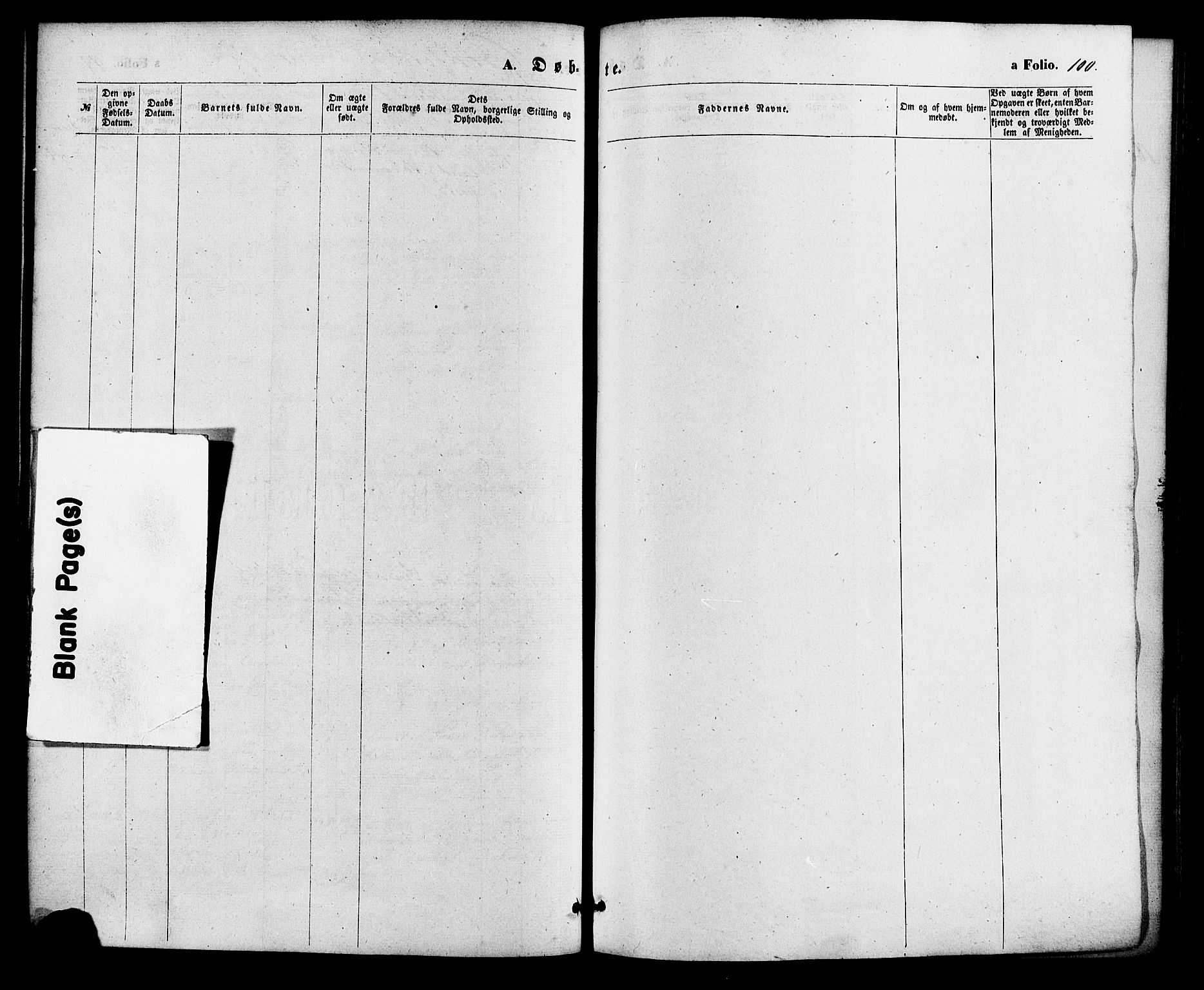 Søgne sokneprestkontor, SAK/1111-0037/F/Fa/Fab/L0011: Parish register (official) no. A 11, 1869-1879, p. 100