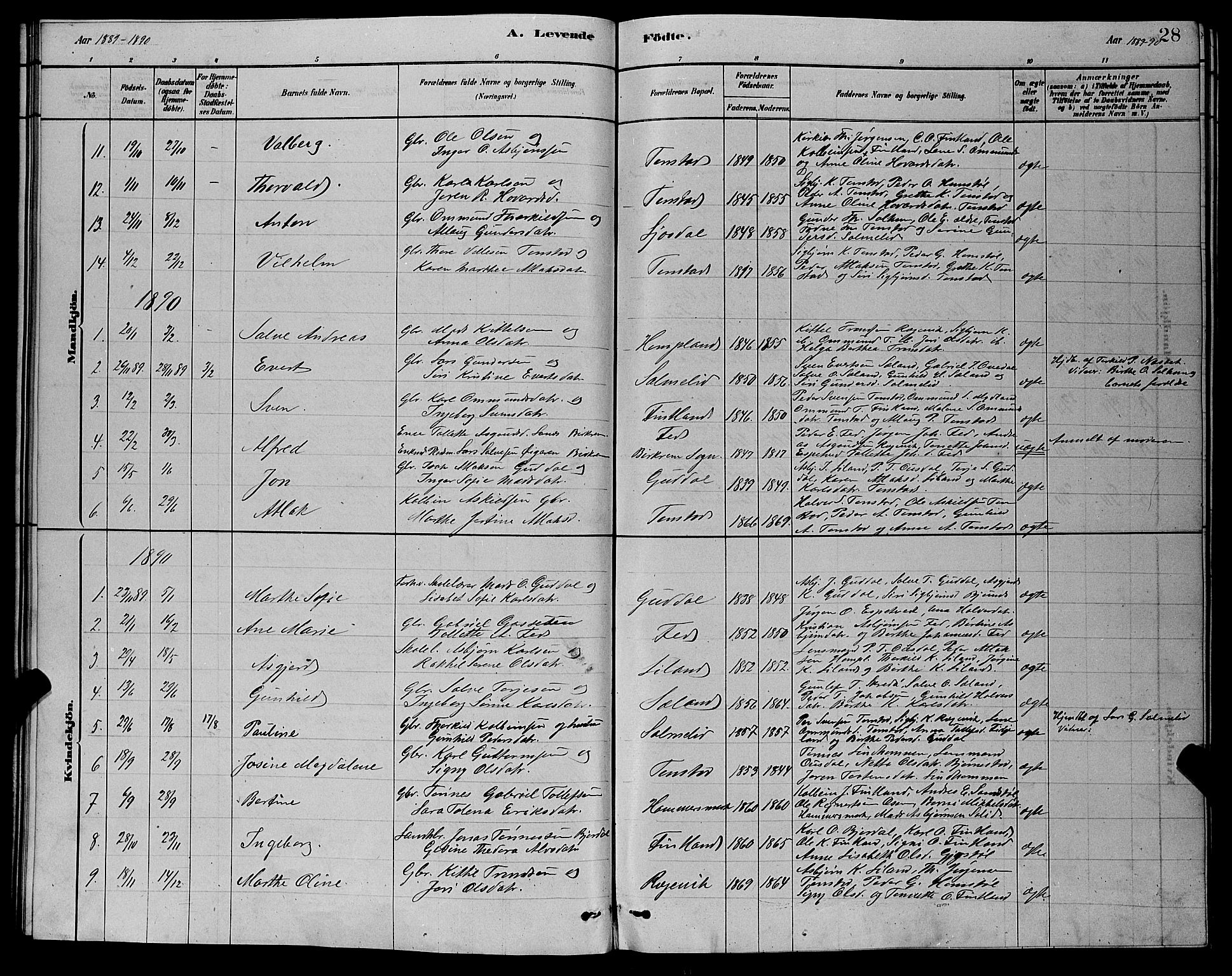 Sirdal sokneprestkontor, SAK/1111-0036/F/Fb/Fbb/L0003: Parish register (copy) no. B 3, 1878-1894, p. 28