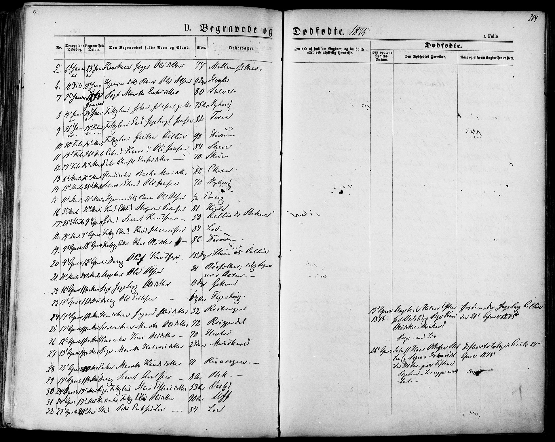 Ministerialprotokoller, klokkerbøker og fødselsregistre - Sør-Trøndelag, SAT/A-1456/678/L0900: Parish register (official) no. 678A09, 1872-1881, p. 214