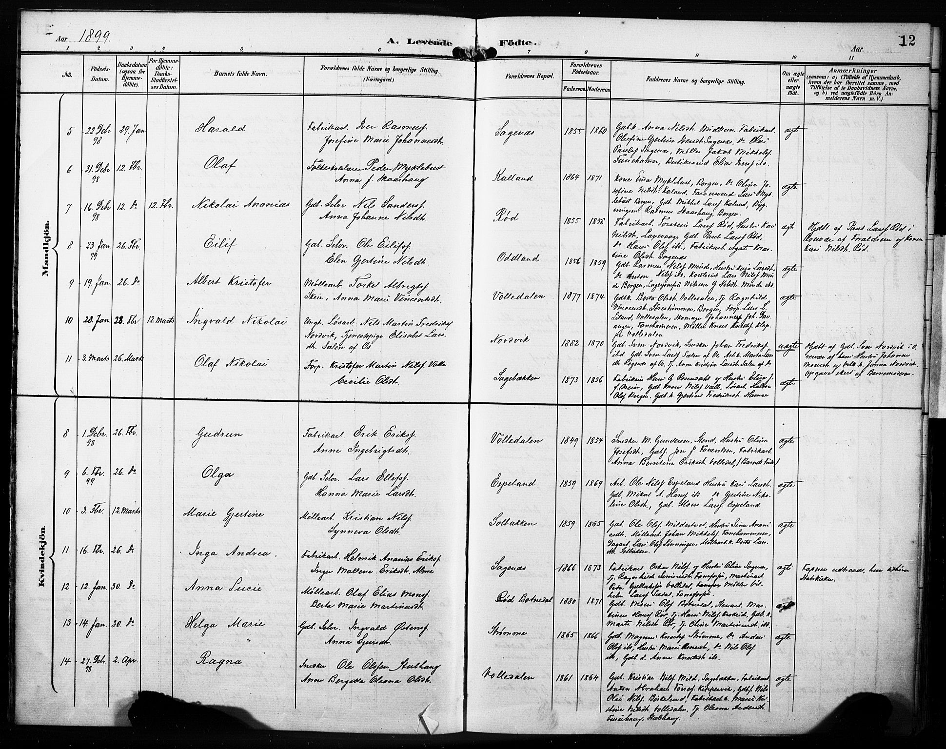 Fana Sokneprestembete, AV/SAB-A-75101/H/Haa/Haab/L0003: Parish register (official) no. B 3, 1898-1907, p. 12