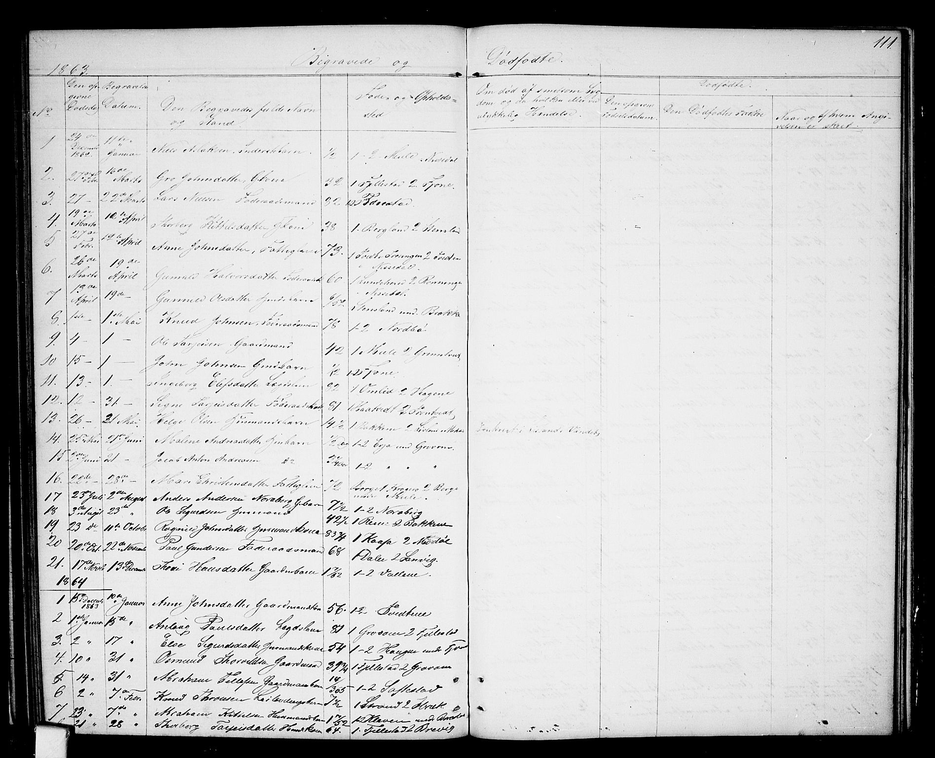 Nissedal kirkebøker, SAKO/A-288/G/Ga/L0002: Parish register (copy) no. I 2, 1861-1887, p. 111