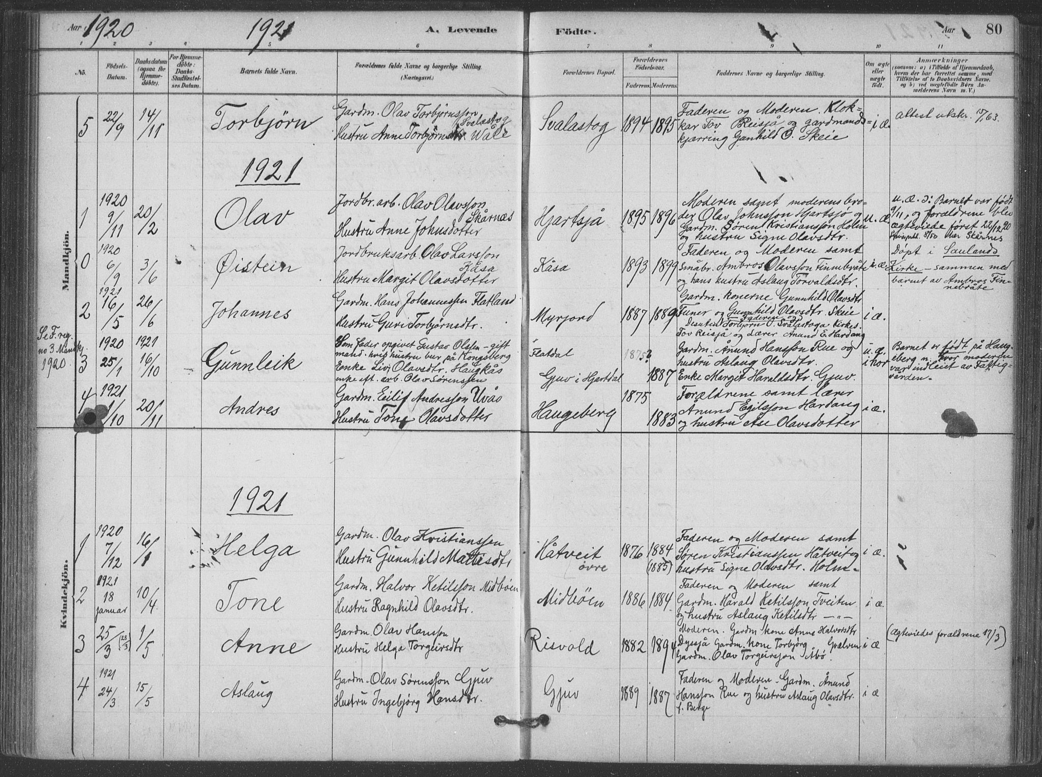 Hjartdal kirkebøker, SAKO/A-270/F/Fa/L0010: Parish register (official) no. I 10, 1880-1929, p. 80