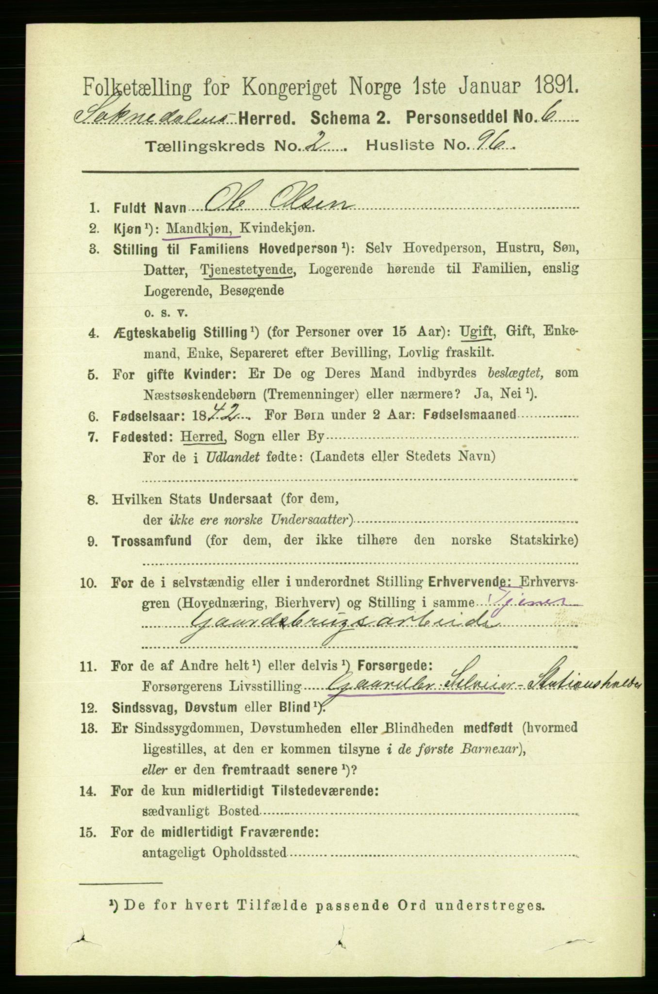 RA, 1891 census for 1649 Soknedal, 1891, p. 1081