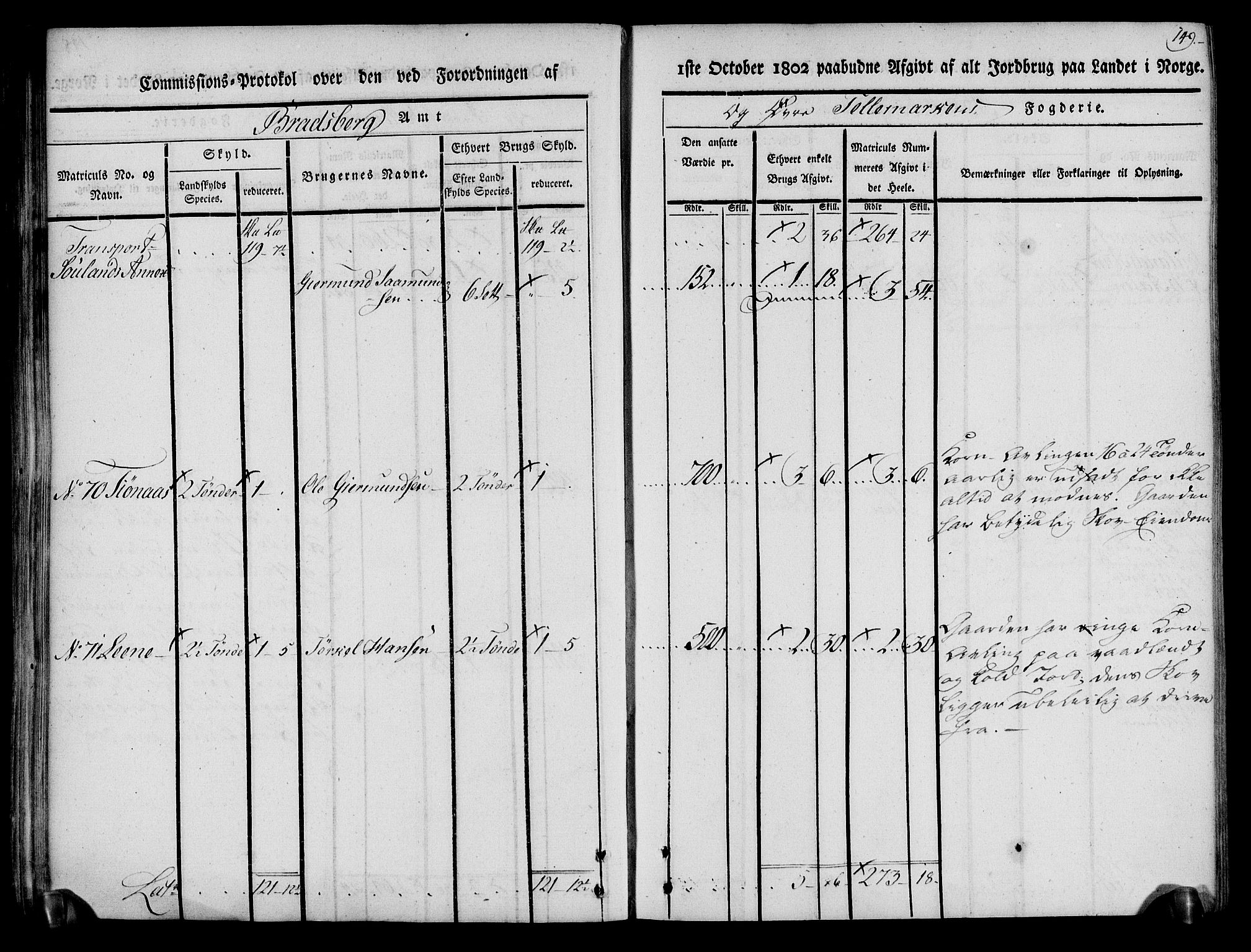 Rentekammeret inntil 1814, Realistisk ordnet avdeling, AV/RA-EA-4070/N/Ne/Nea/L0074: Øvre Telemarken fogderi. Kommisjonsprotokoll for fogderiets østre del - Tinn, Hjartdal og Seljord prestegjeld., 1803, p. 149