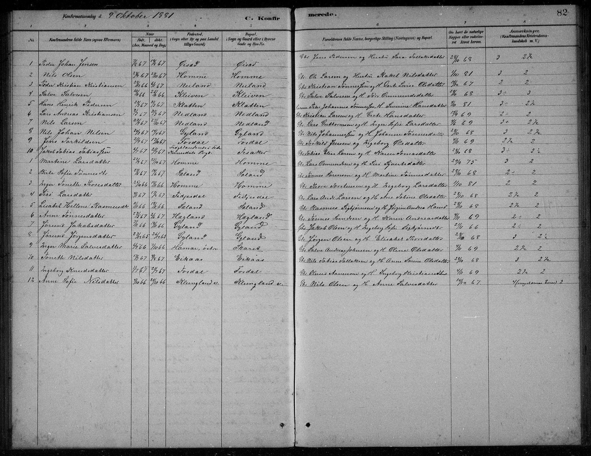 Bakke sokneprestkontor, SAK/1111-0002/F/Fb/Fbb/L0003: Parish register (copy) no. B 3, 1878-1896, p. 82