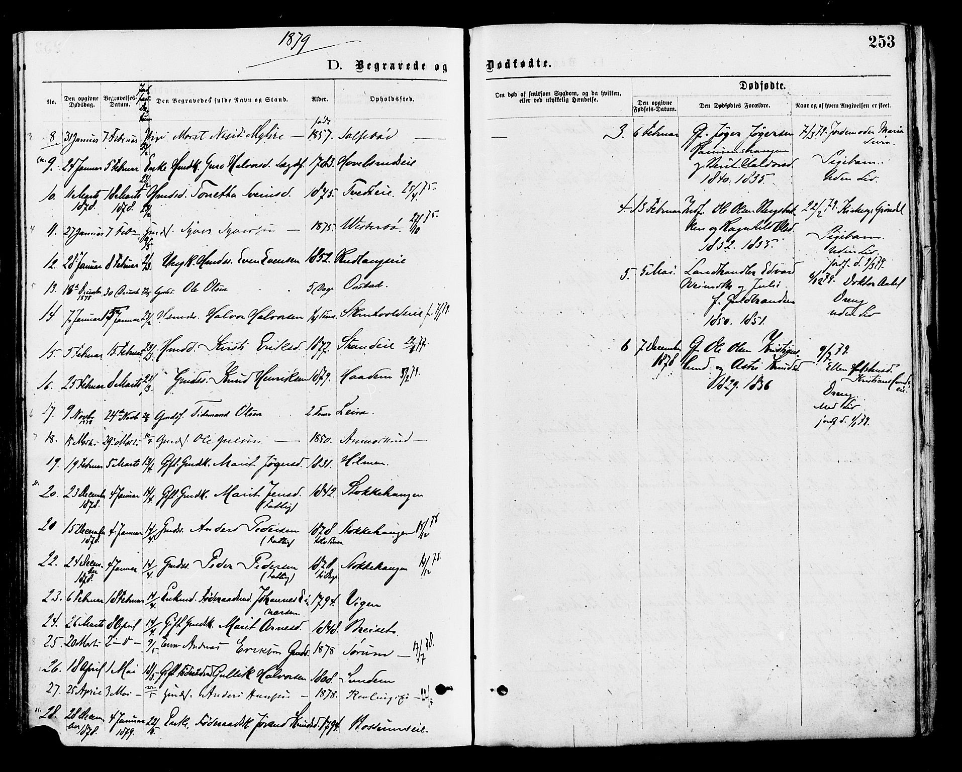 Nord-Aurdal prestekontor, SAH/PREST-132/H/Ha/Haa/L0009: Parish register (official) no. 9, 1876-1882, p. 253