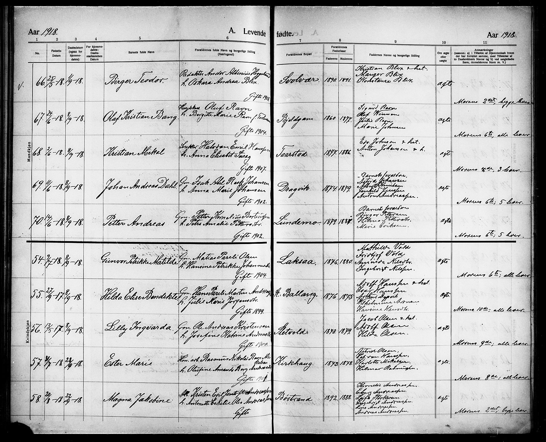 Ministerialprotokoller, klokkerbøker og fødselsregistre - Nordland, AV/SAT-A-1459/863/L0916: Parish register (copy) no. 863C06, 1907-1921