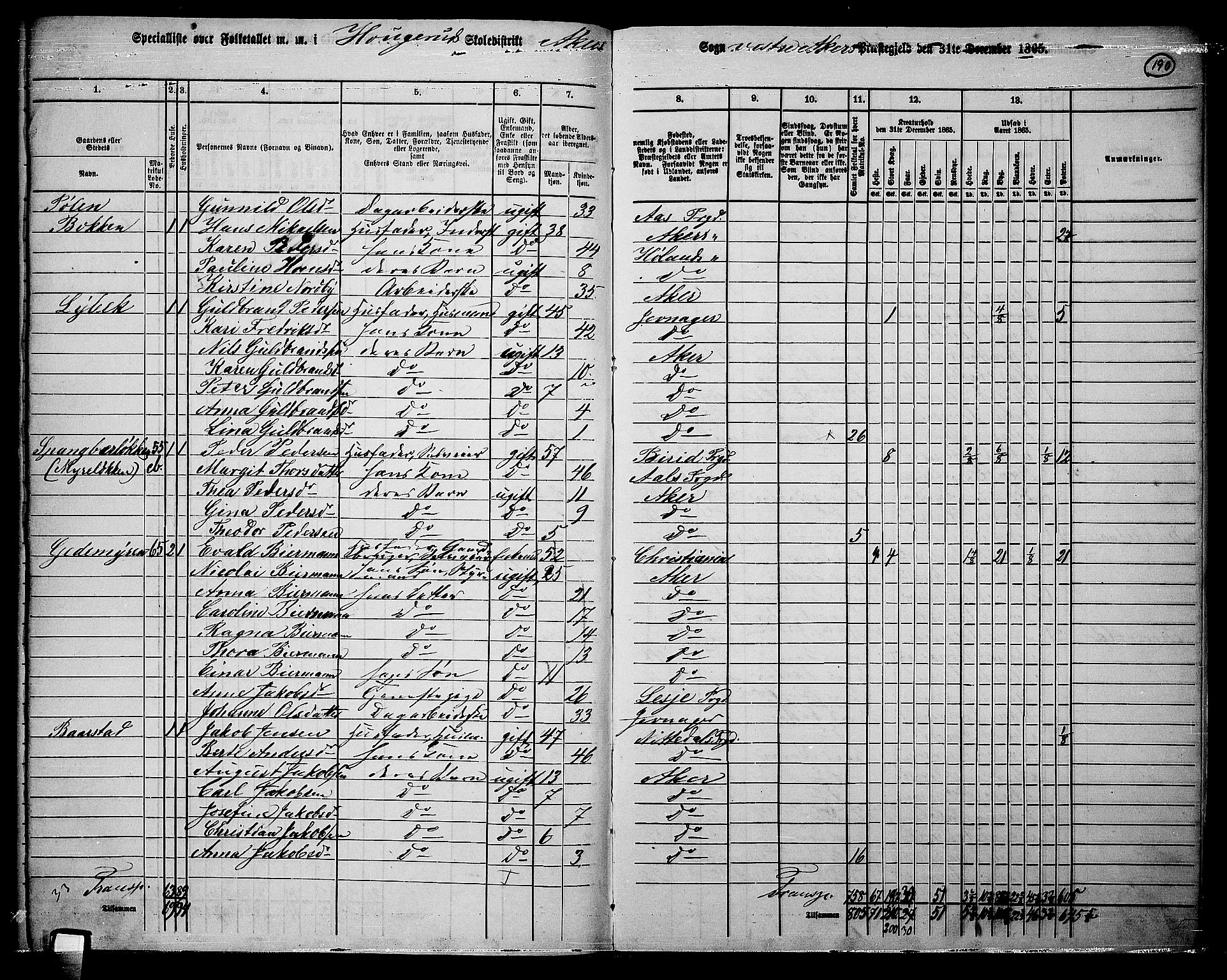 RA, 1865 census for Vestre Aker, 1865, p. 171