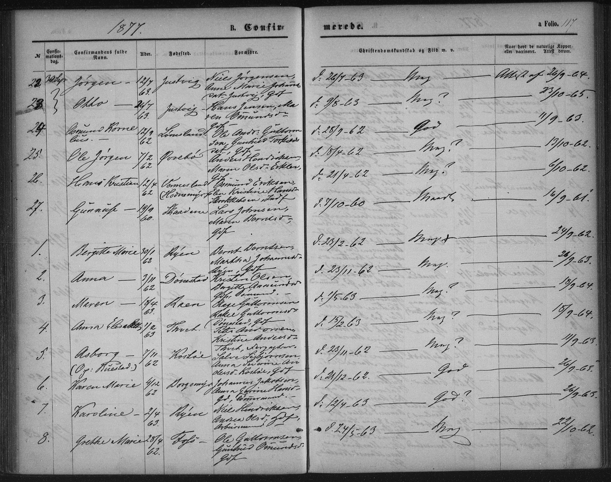 Tveit sokneprestkontor, AV/SAK-1111-0043/F/Fa/L0006: Parish register (official) no. A 6, 1872-1886, p. 117