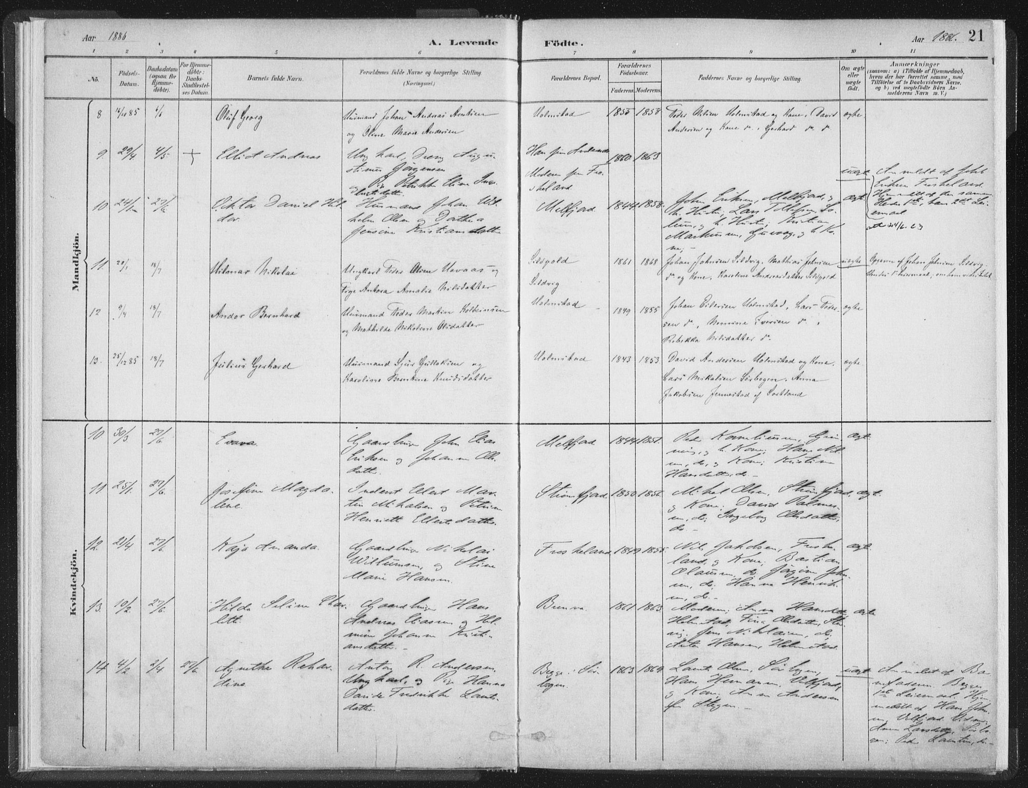 Ministerialprotokoller, klokkerbøker og fødselsregistre - Nordland, AV/SAT-A-1459/890/L1286: Parish register (official) no. 890A01, 1882-1902, p. 21