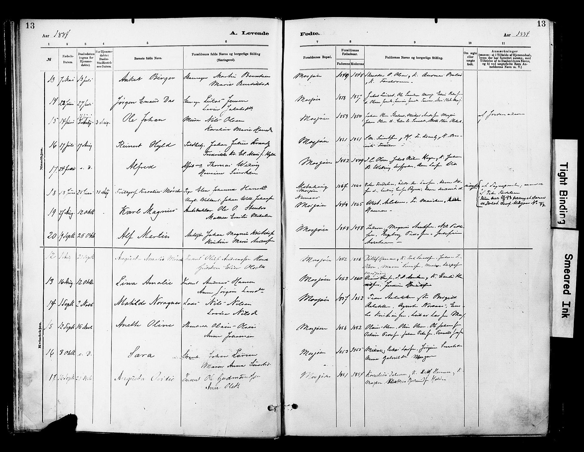 Ministerialprotokoller, klokkerbøker og fødselsregistre - Nordland, SAT/A-1459/820/L0296: Parish register (official) no. 820A17, 1880-1903, p. 13