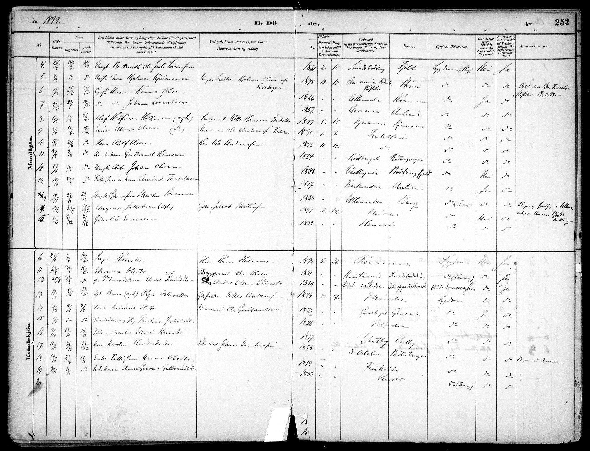 Nes prestekontor Kirkebøker, AV/SAO-A-10410/F/Fc/L0002: Parish register (official) no. IIi 2, 1882-1916, p. 252