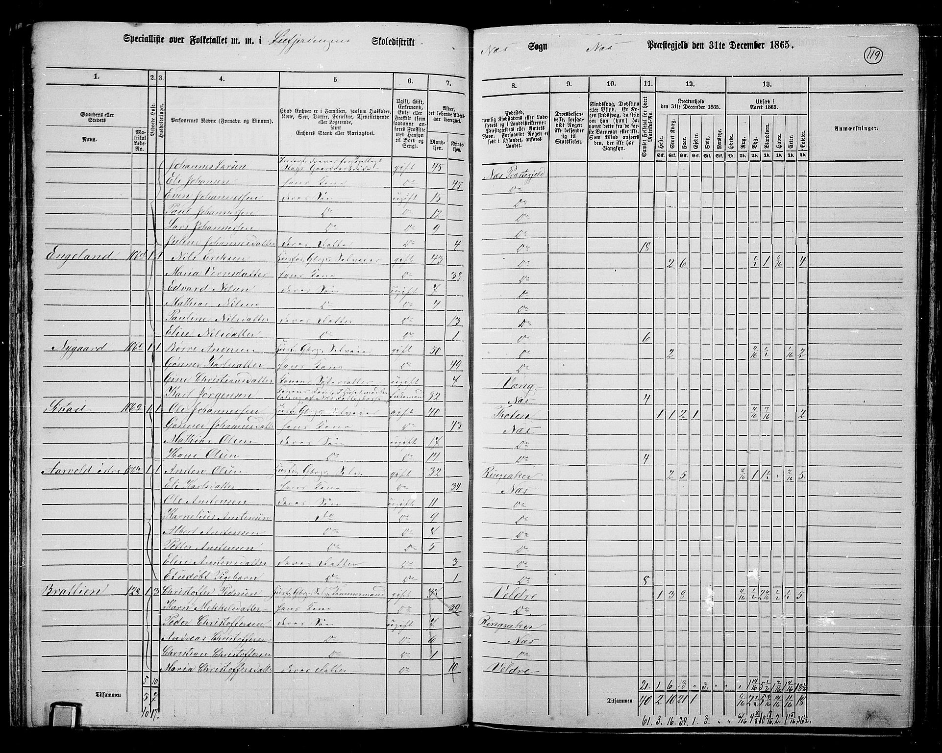 RA, 1865 census for Nes, 1865, p. 104