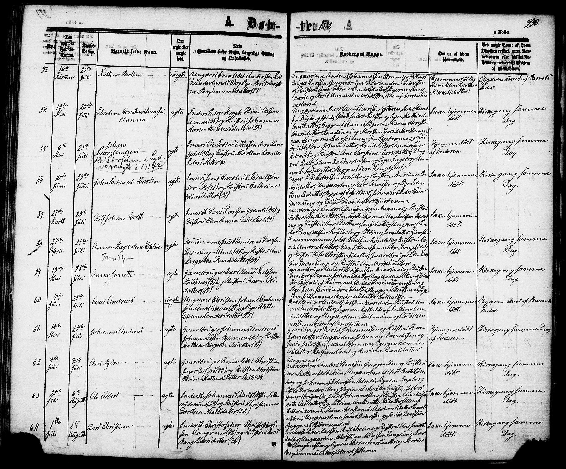 Ministerialprotokoller, klokkerbøker og fødselsregistre - Nordland, AV/SAT-A-1459/827/L0393: Parish register (official) no. 827A05, 1863-1883, p. 230