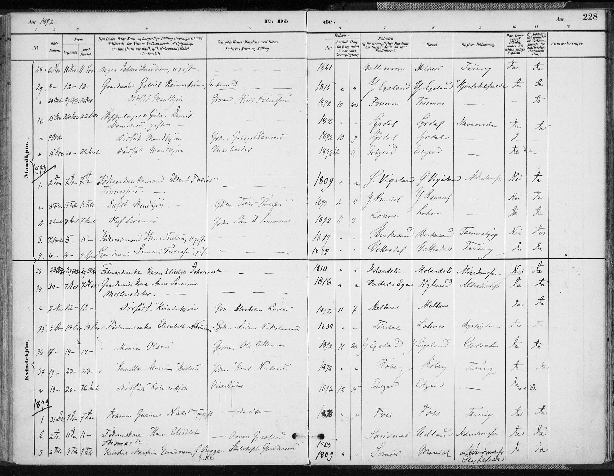 Sør-Audnedal sokneprestkontor, AV/SAK-1111-0039/F/Fa/Fab/L0010: Parish register (official) no. A 10, 1892-1913, p. 228