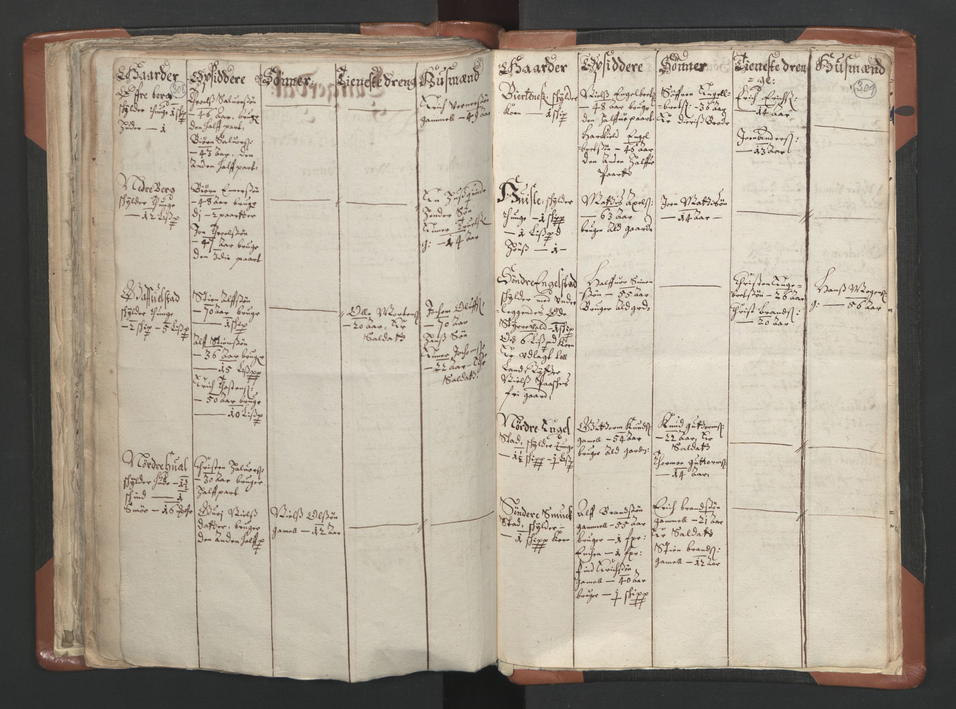 RA, Vicar's Census 1664-1666, no. 10: Tønsberg deanery, 1664-1666, p. 308-309