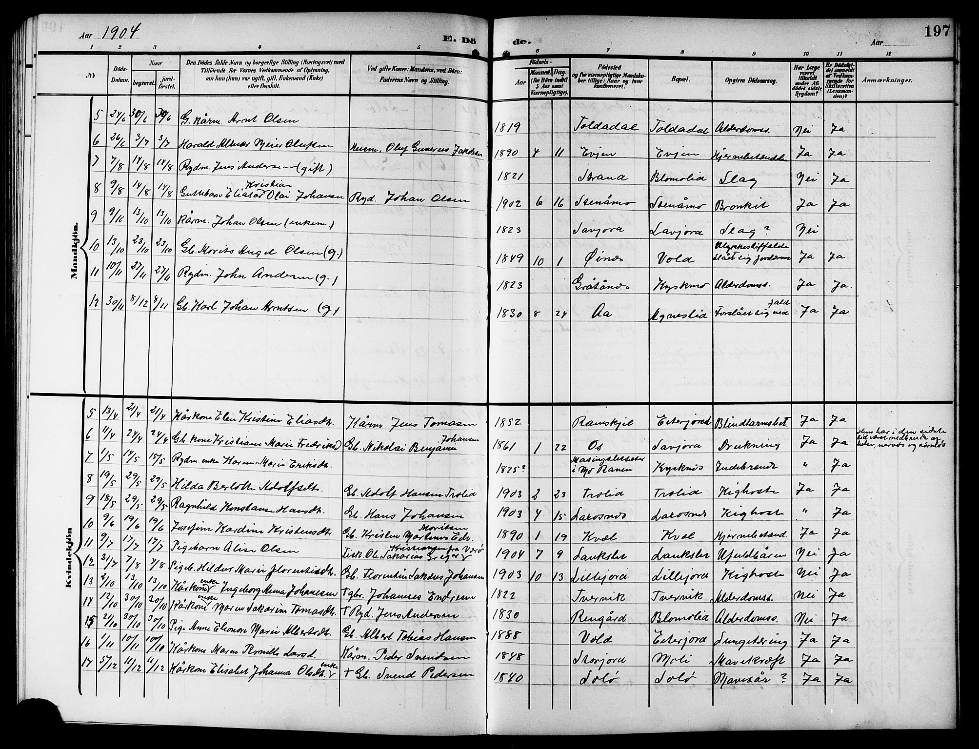 Ministerialprotokoller, klokkerbøker og fødselsregistre - Nordland, SAT/A-1459/846/L0655: Parish register (copy) no. 846C05, 1902-1916, p. 197