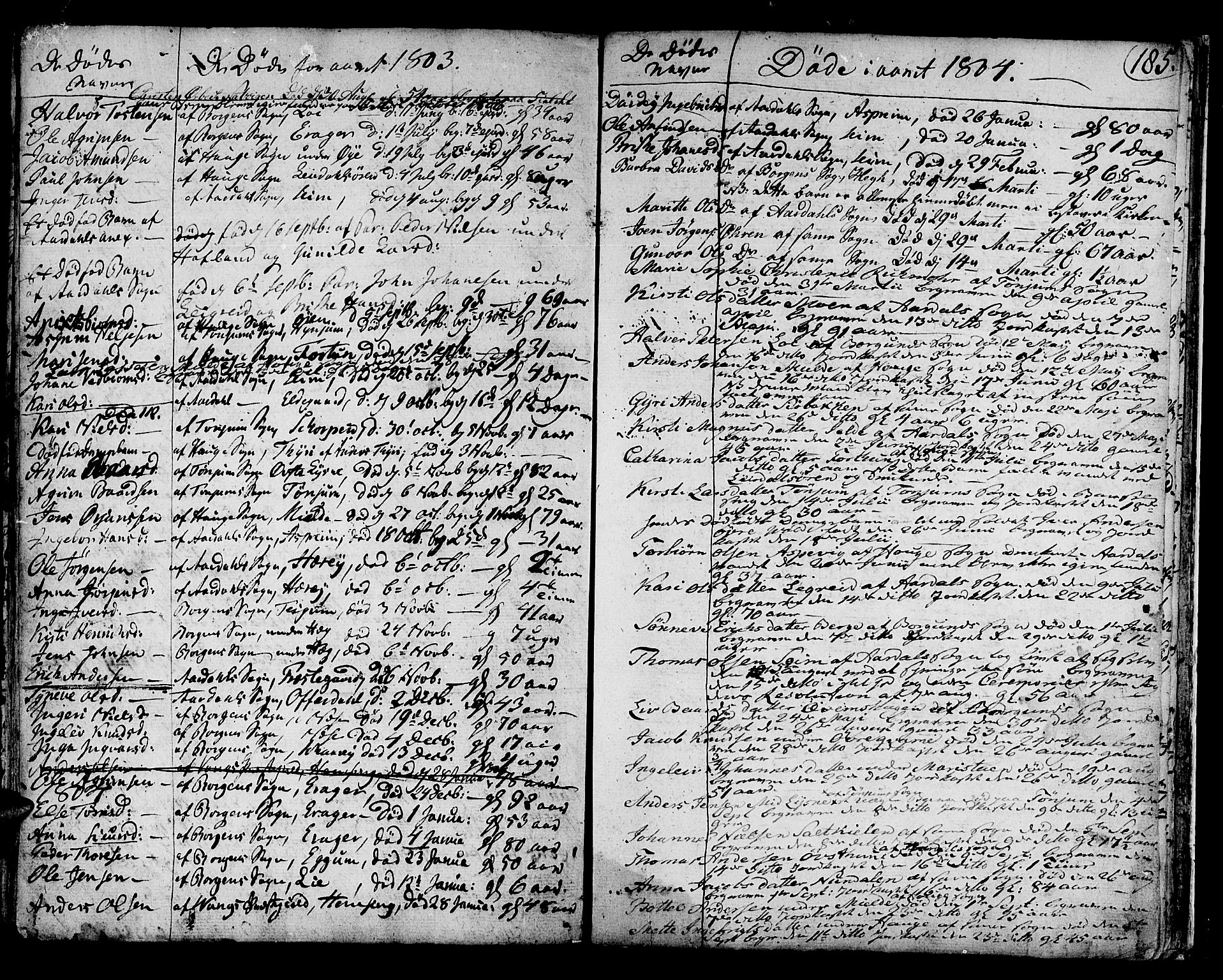 Lærdal sokneprestembete, SAB/A-81201: Parish register (official) no. A 3, 1783-1804, p. 185