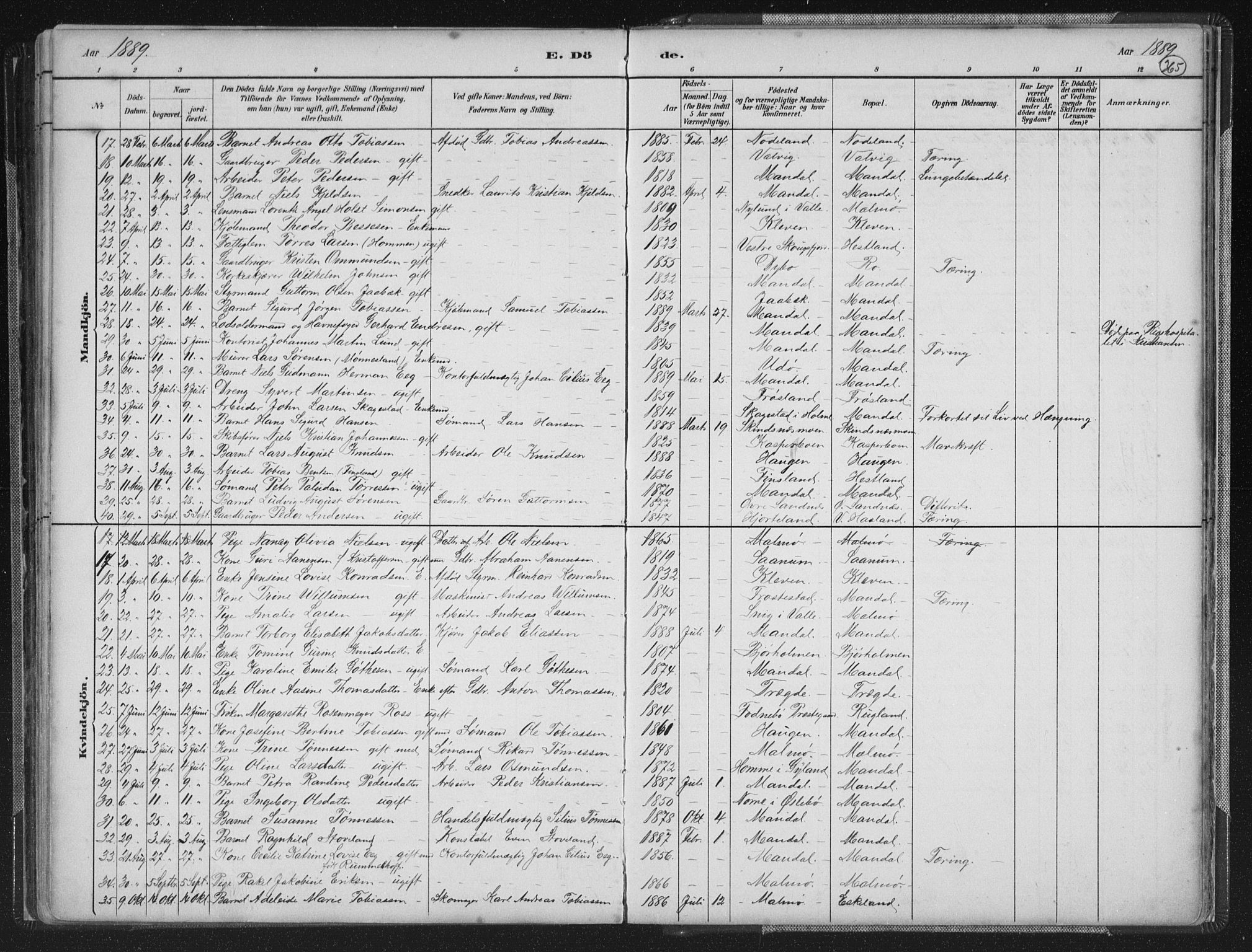 Mandal sokneprestkontor, AV/SAK-1111-0030/F/Fb/Fba/L0011: Parish register (copy) no. B 5, 1880-1898, p. 365